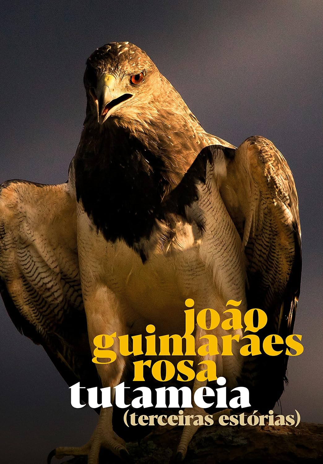 capítulo por capítulo baixar Tutameia: Terceiras Estórias