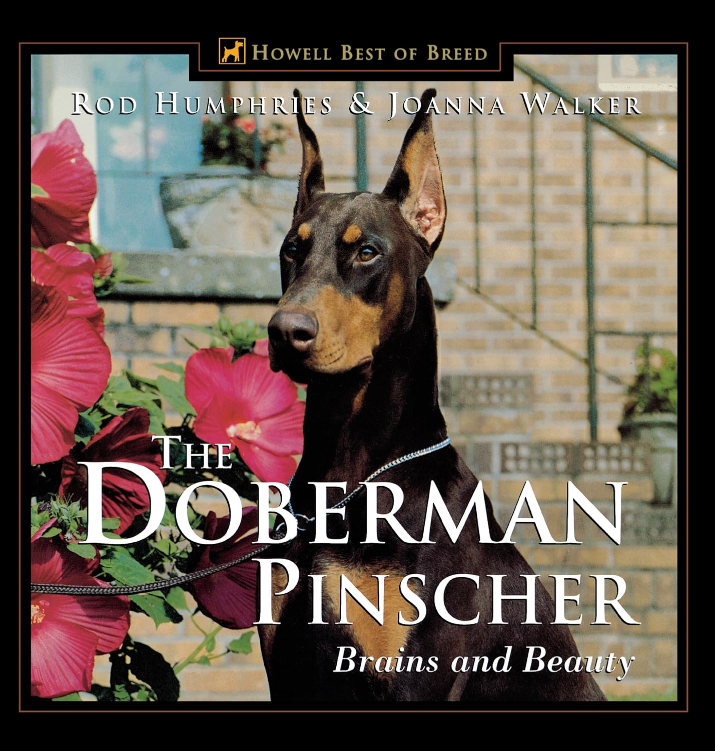 The Doberman Pinscher: Brains and Beauty baixar o livro de graça