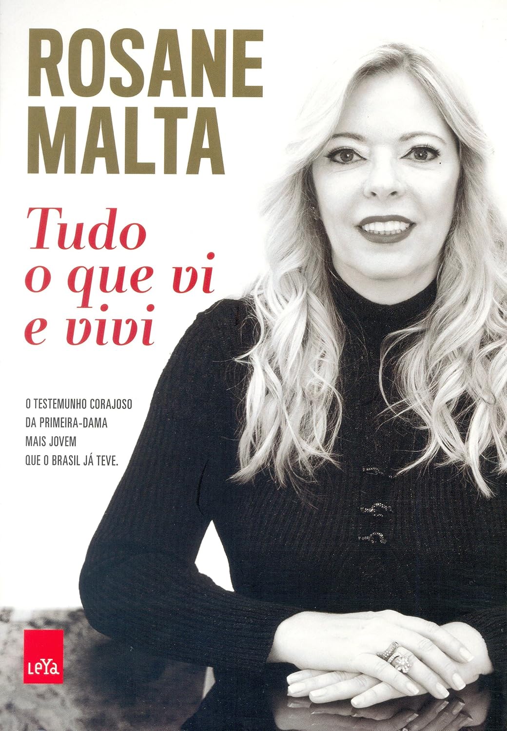 Tudo o que Vi e Vivi baixar o livro de graça