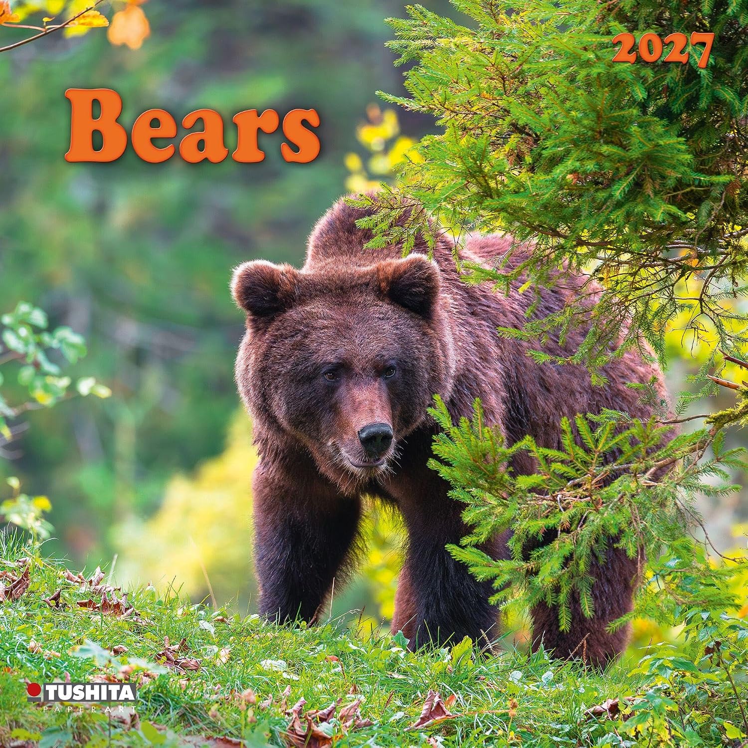Bears 2027: Kalender 2027