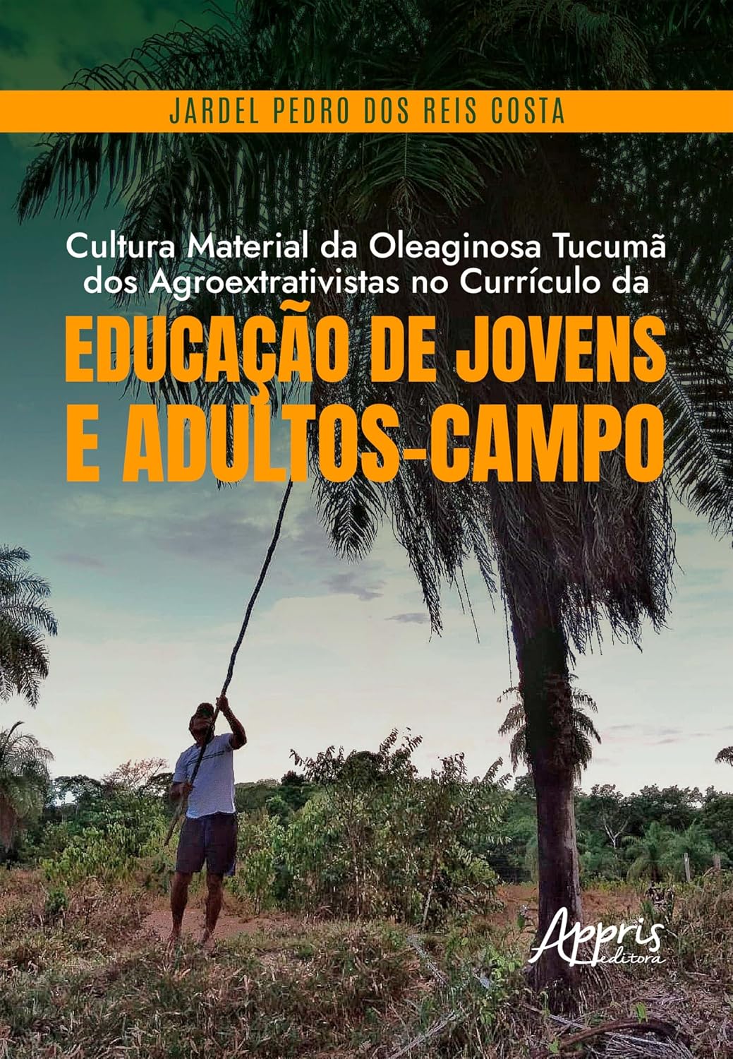 Cultura Material da Oleaginosa Tucumã dos Agroextrativistas no Currículo da Educação de Jovens e Adultos-Campo baixar livro de graça