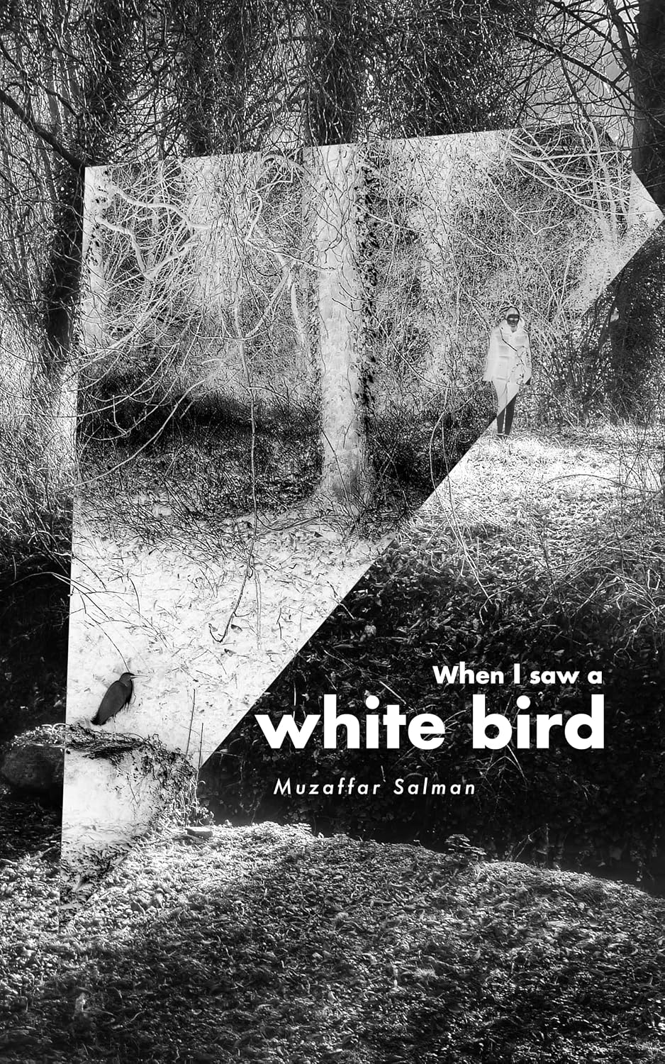 ler totalmente When I saw a white bird (English Edition)