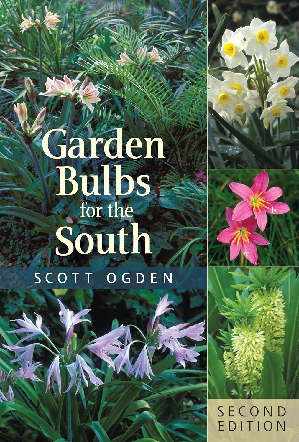 ler totalmente Garden Bulbs for the South