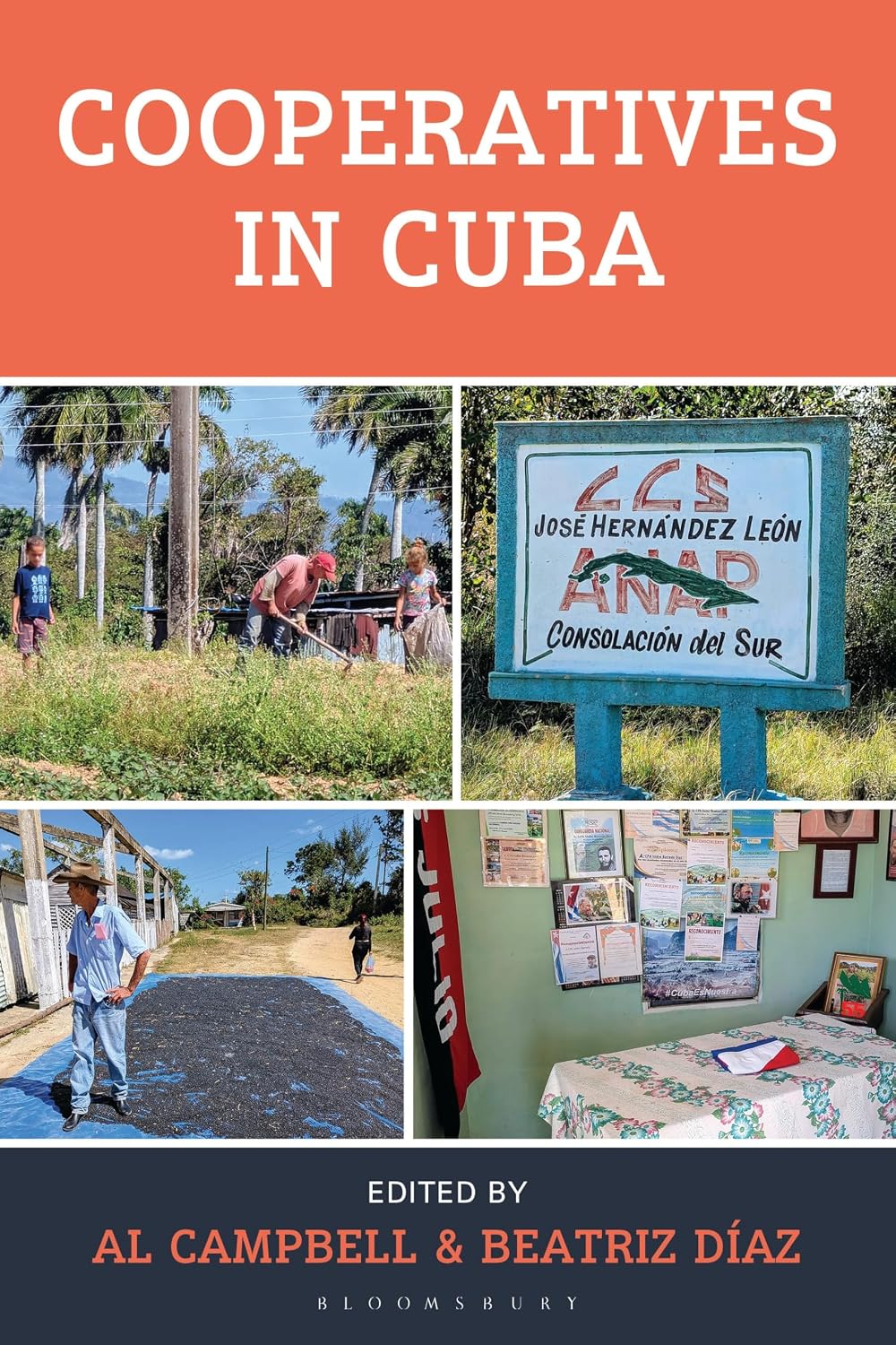 Cooperatives in Cuba (Bloomsbury Studies on Cuba) (English Edition) baixar o livro de graça
