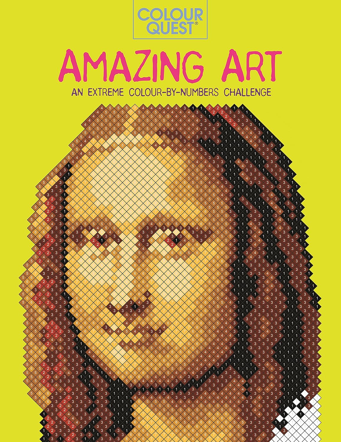 Colour Quest®: Amazing Art: An Extreme Colour by Numbers Challenge baixar o livro de graça