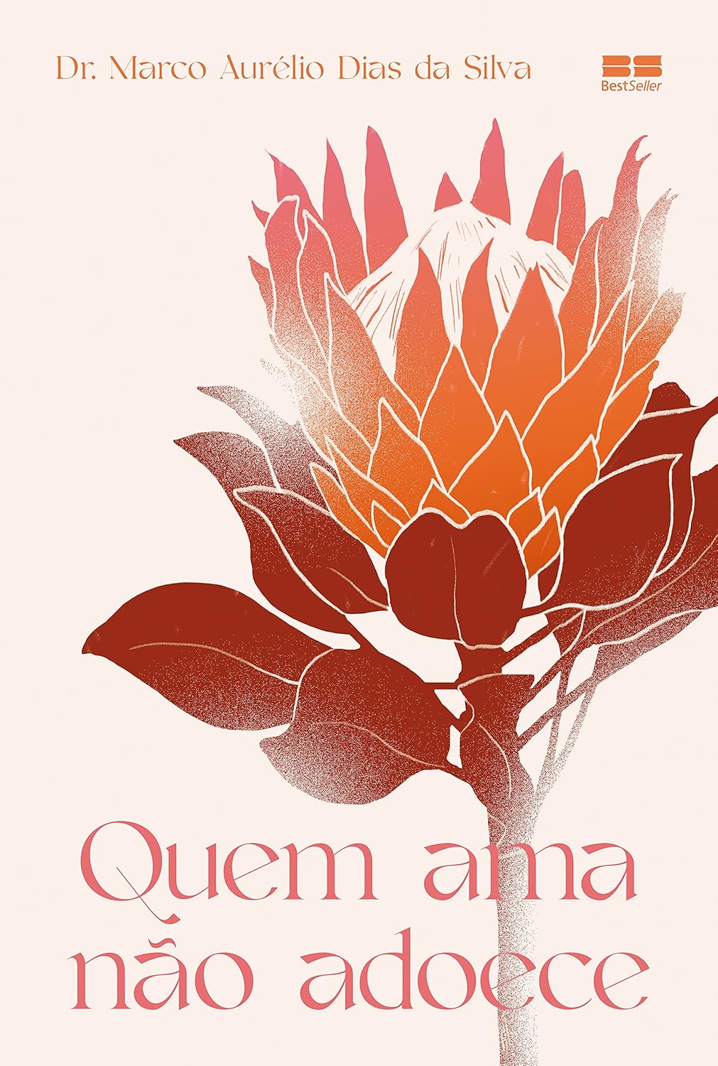 Quem ama não adoece baixar livro de graça