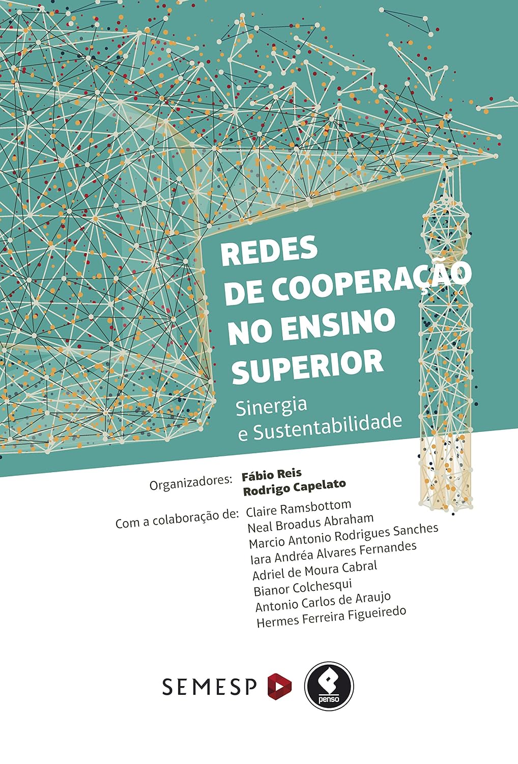 Redes de Cooperação no Ensino Superior: Sinergia e Sustentabilidade baixar livro de graça