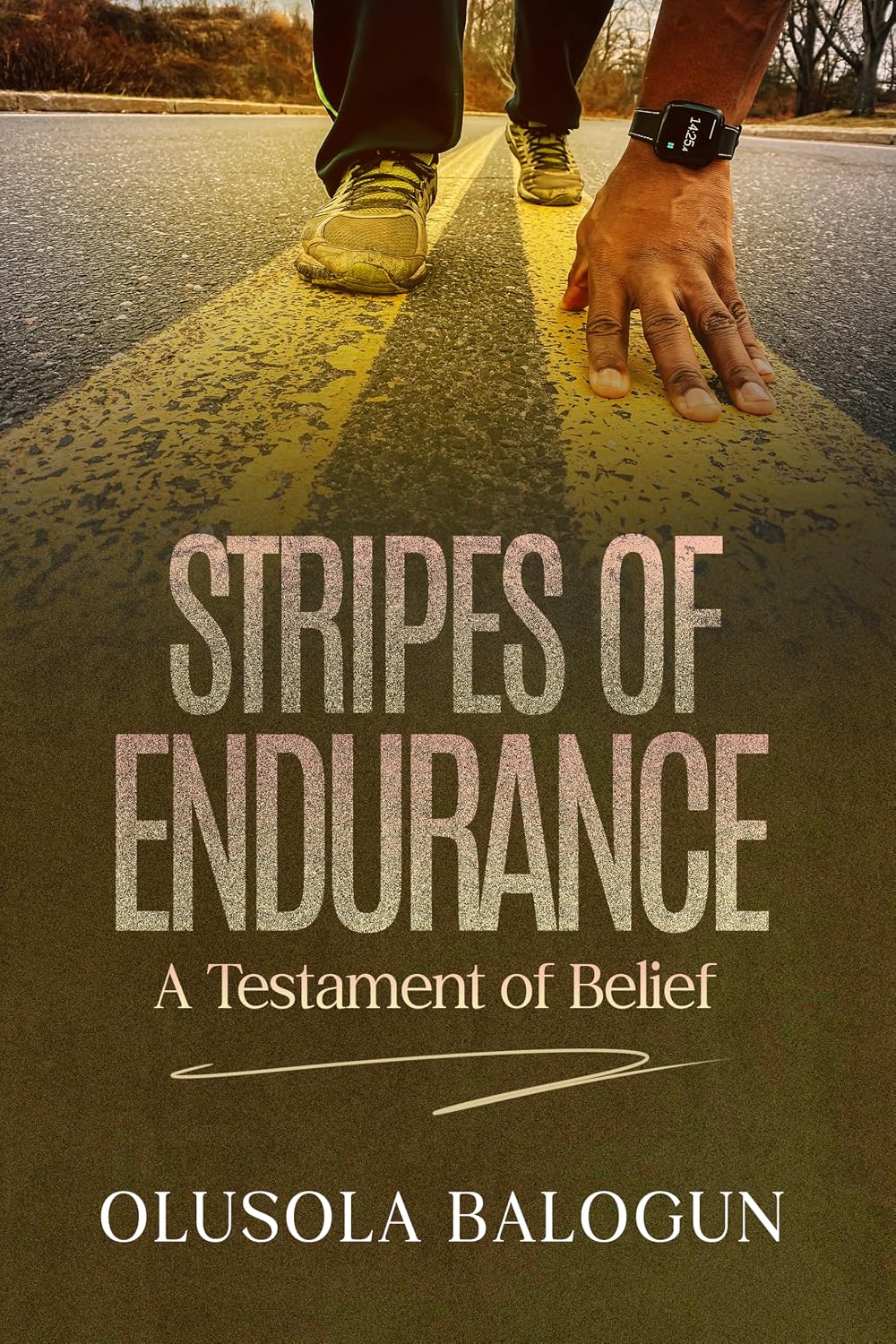 capítulo por capítulo baixar Stripes of Endurance: A Testament of Belief (English Edition)