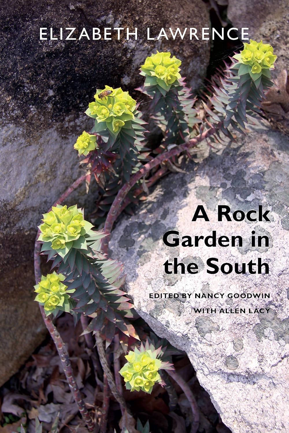 A Rock Garden in the South (English Edition) baixar livro de graça