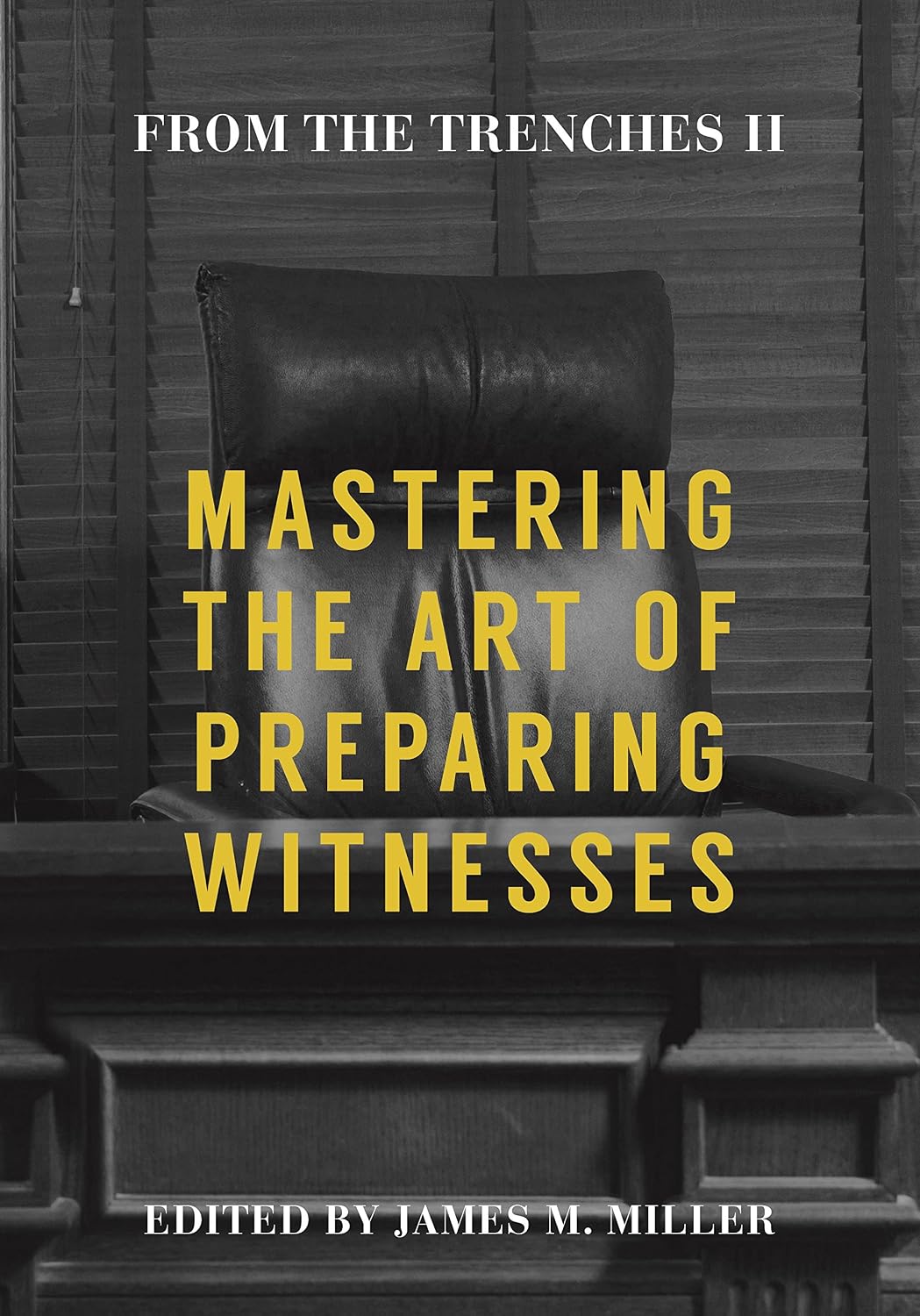 From the Trenches II: Mastering the Art of Preparing Witnesses baixar livro de graça