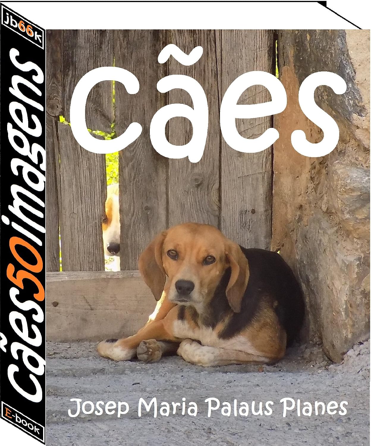 ler totalmente cães (50 imagens)