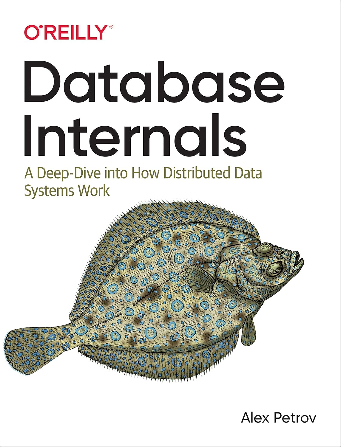 Database Internals: A Deep Dive Into How Distributed Data Systems Work baixar livro de graça