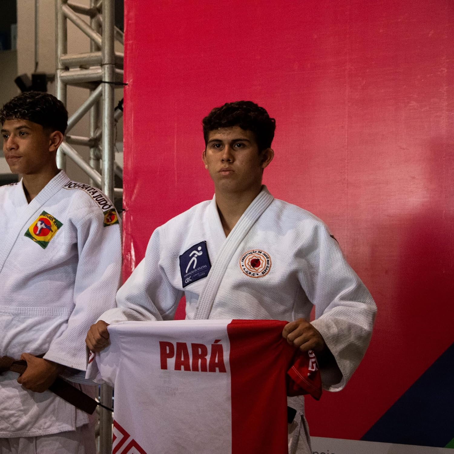 Os Bastidores que não te contam sobre ser um atleta faixa preta baixar livro de graça