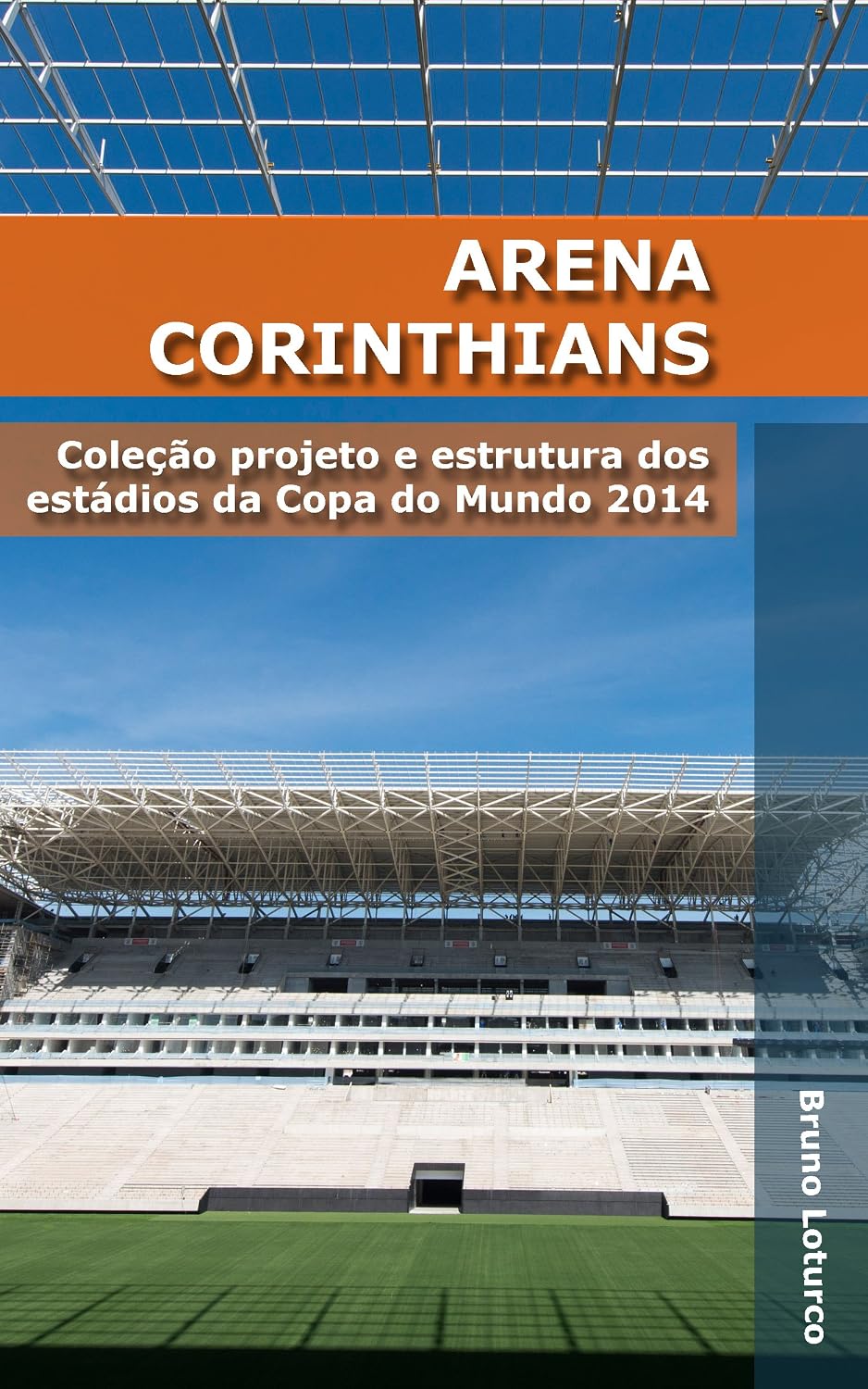Arena Corinthians: Coleção estrutura e projeto dos estádios da Copa do Mundo 2014 baixar livro de graça