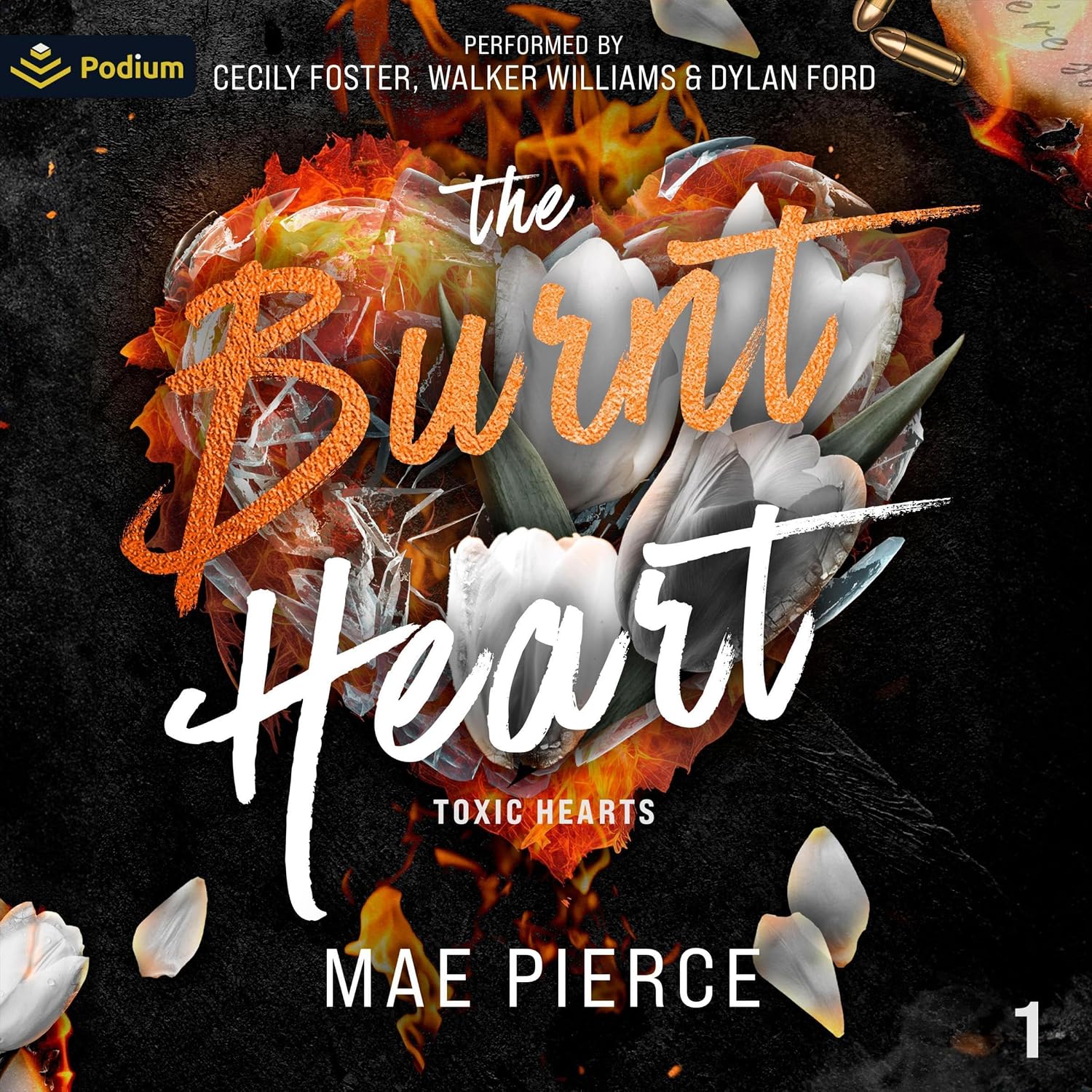 The Burnt Heart: Toxic Hearts, Book 1
