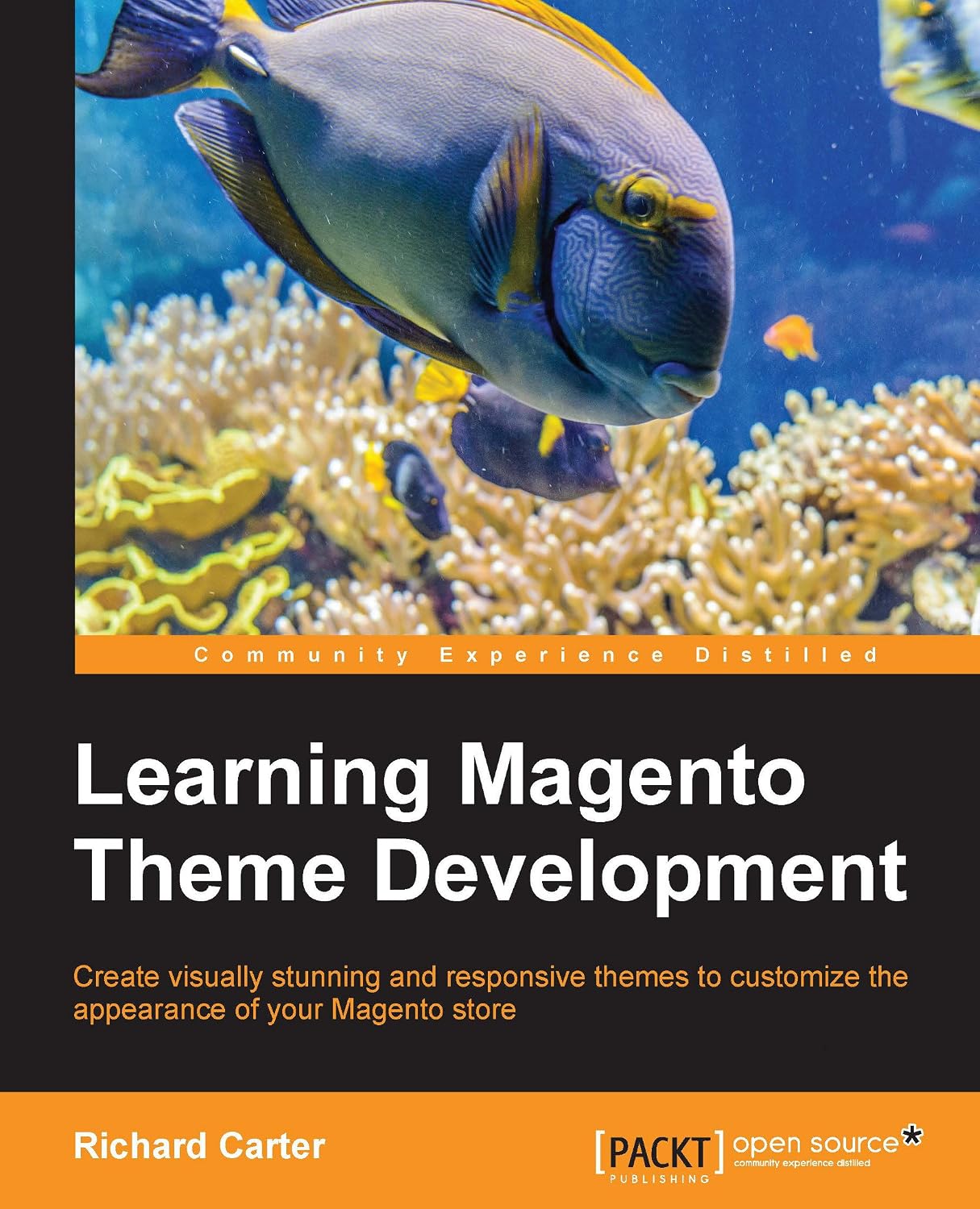 Learning Magento Theme Development (English Edition) baixar livro de graça