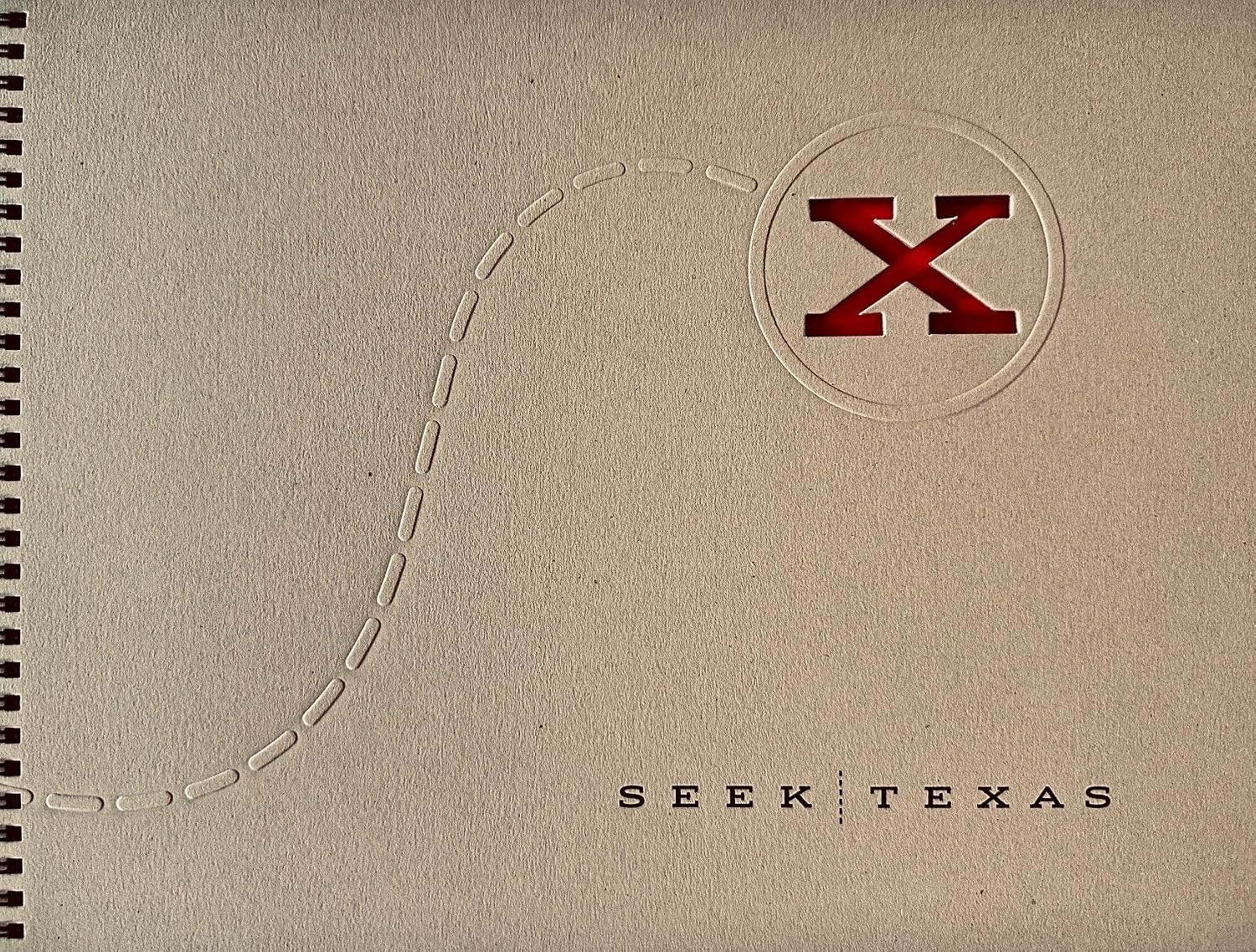 ler totalmente SeekTexas (English Edition)