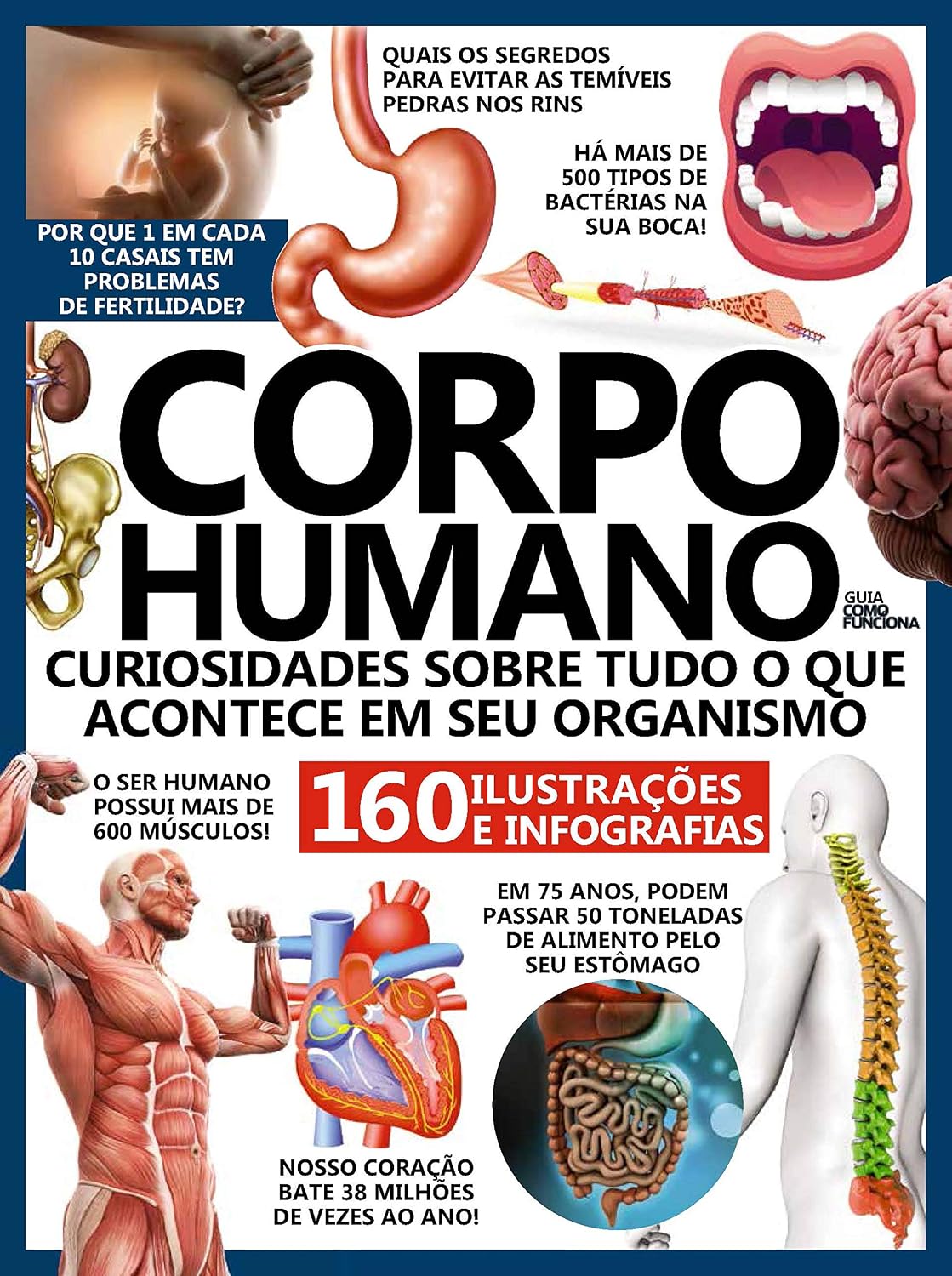 Como Funciona Corpo Humano baixar o livro de graça