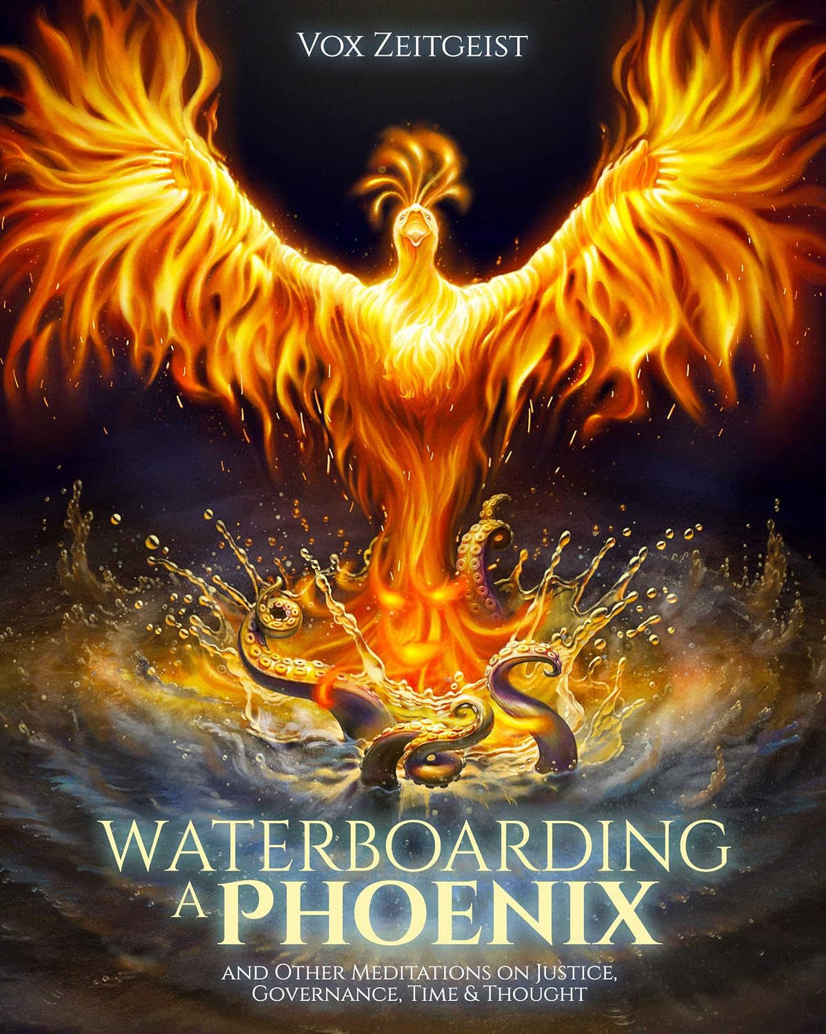 Waterboarding a Phoenix: And Other Meditations on Justice, Governance, Time & Thought (English Edition) baixar livro de graça