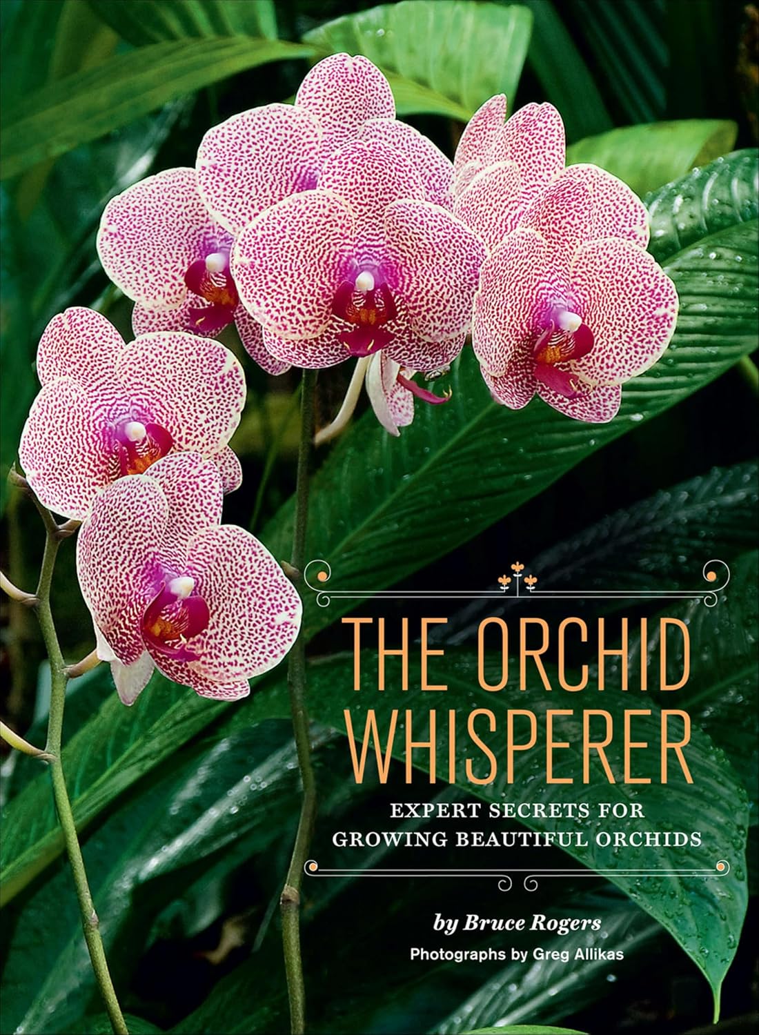 The Orchid Whisperer: Expert Secrets for Growing Beautiful Orchids (English Edition)