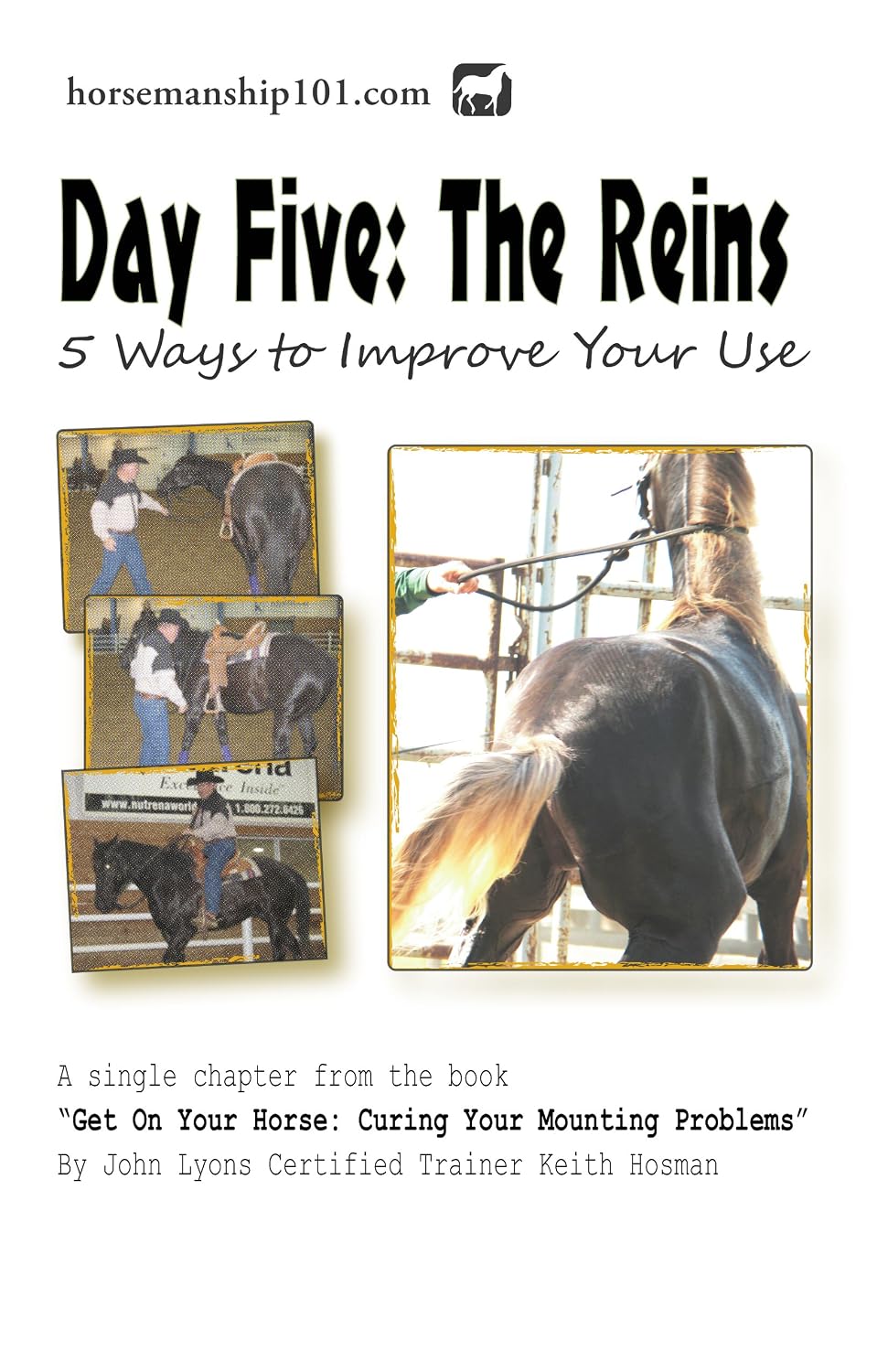 Day Five: The Reins - 5 Ways to Improve Your Use (Curing Your Mounting Problems) (English Edition) baixar o livro de graça