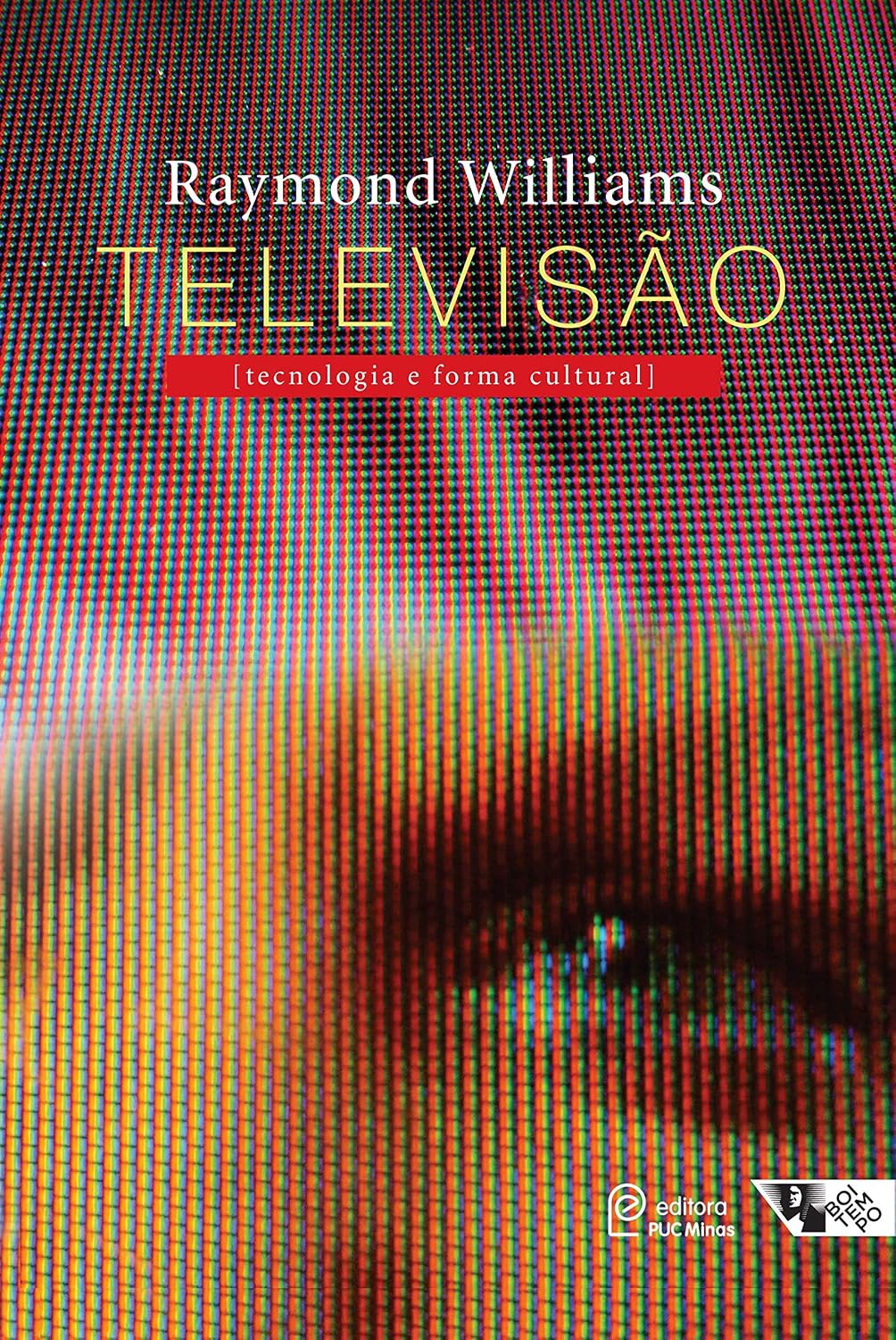 Televisão: tecnologia e forma cultural baixar o livro de graça