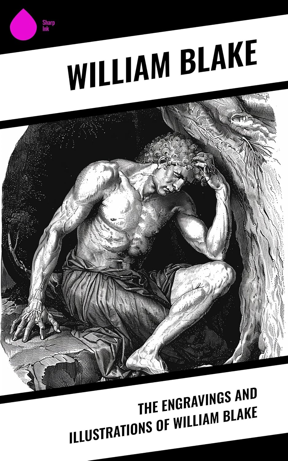 capítulo por capítulo baixar The Engravings and Illustrations of William Blake (English Edition)