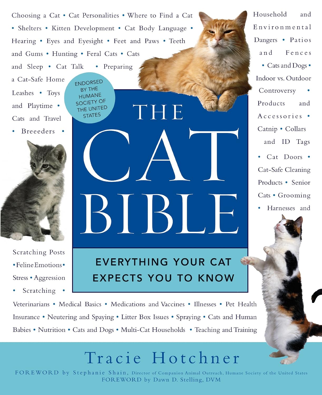 The Cat Bible: Everything Your Cat Expects You to Know (English Edition) baixar livro de graça