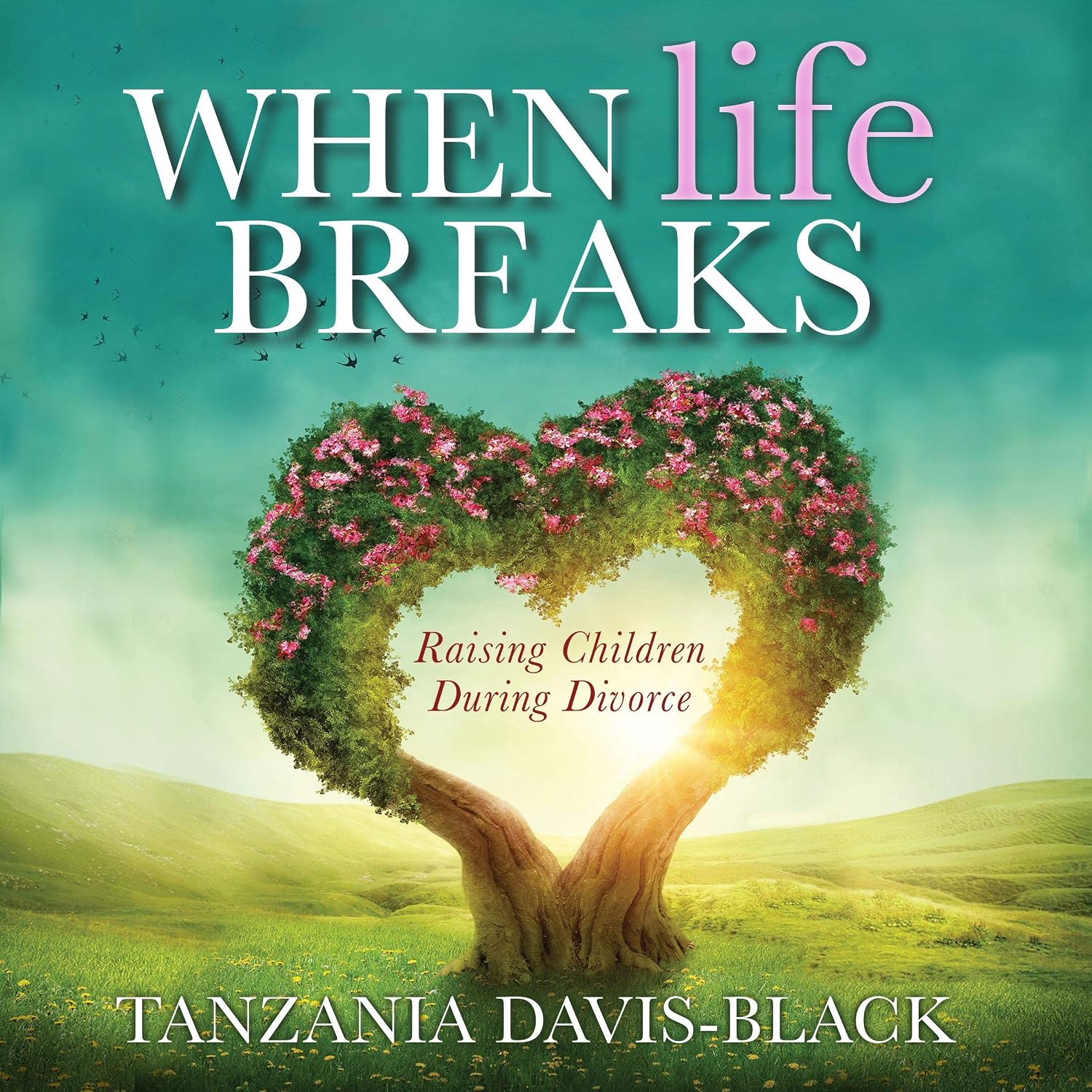 ler totalmente When Life Breaks: Raising Children During Divorce