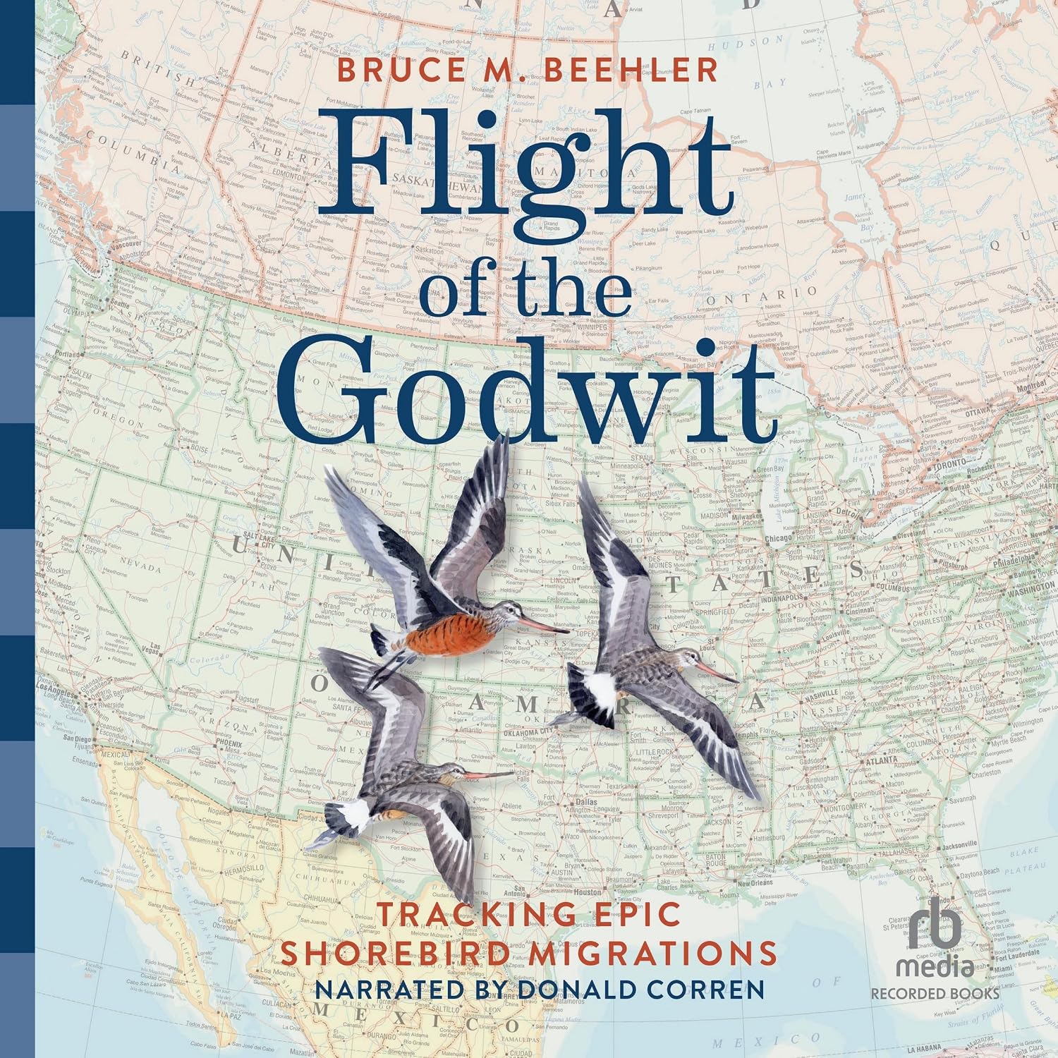Flight of the Godwit: Tracking Epic Shorebird Migrations baixar o livro de graça