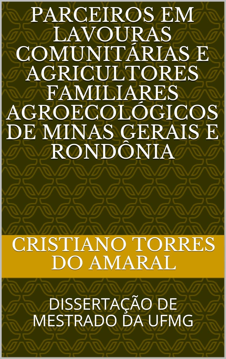 PARCEIROS EM LAVOURAS COMUNITÁRIAS E AGRICULTORES FAMILIARES AGROECOLÓGICOS DE MINAS GERAIS E RONDÔNIA baixar livro de graça