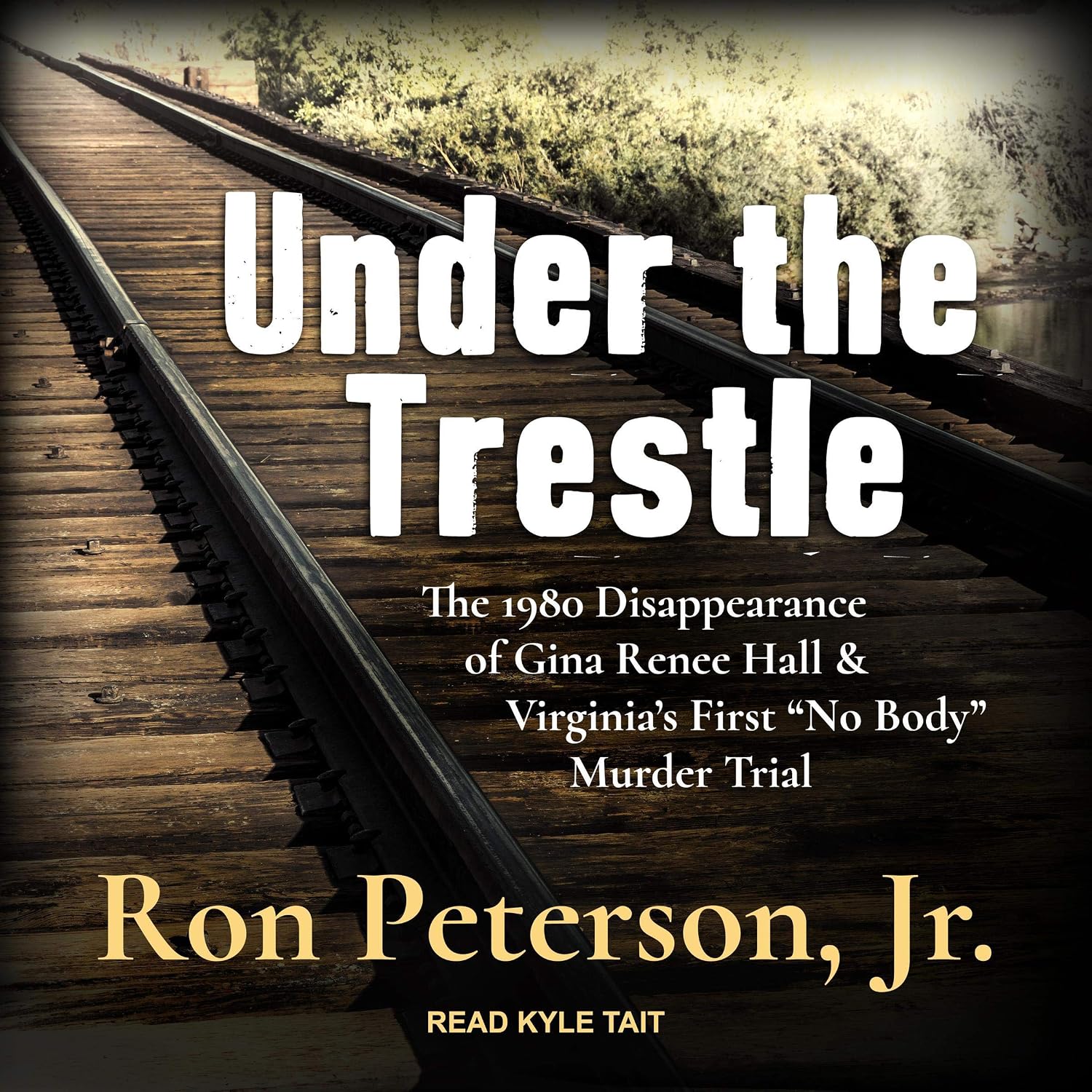 Under the Trestle: The 1980 Disappearance of Gina Renee Hall & Virginia’s First “No Body” Murder Trial. baixar livro de graça