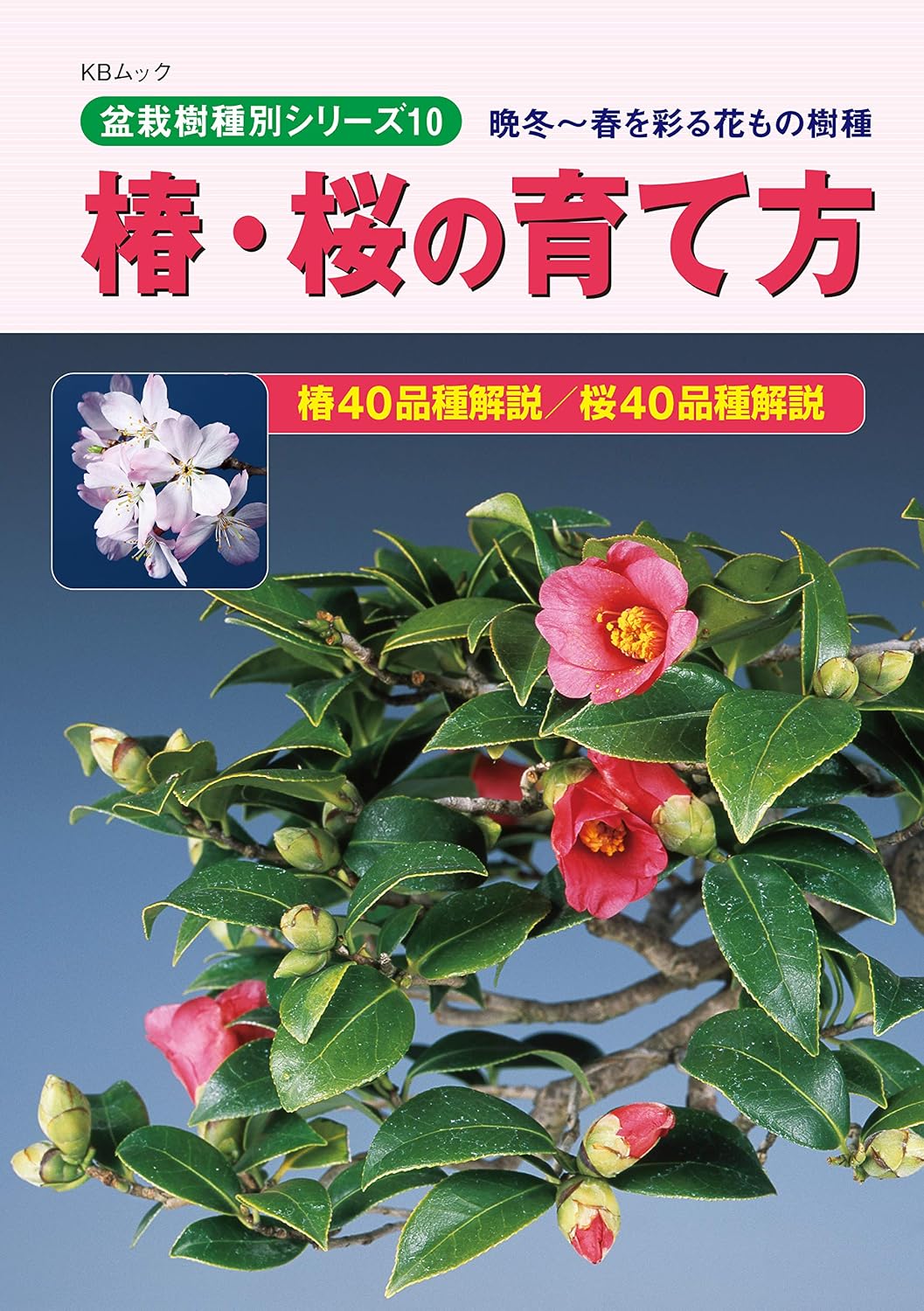 TUBAKISAKURANOSODATEKATA: BANTOUKARAHARUWOIRODORUHANAMONOJYUSYU BONSAIJUSYUBETSUSIRIZU (KBMUKKU) (Japanese Edition) baixar livro de graça