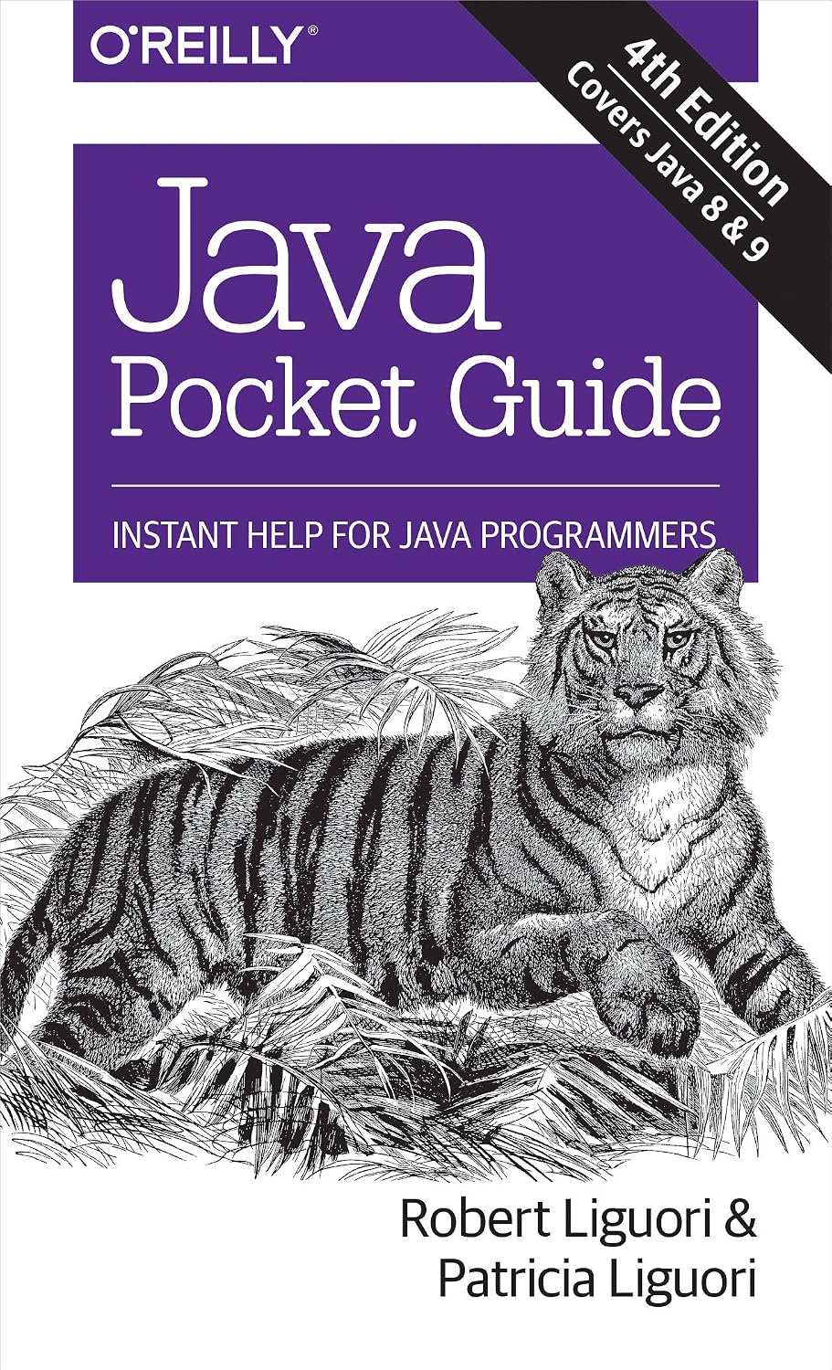 Java Pocket Guide: Instant Help for Java Programmers (English Edition) baixar livro de graça