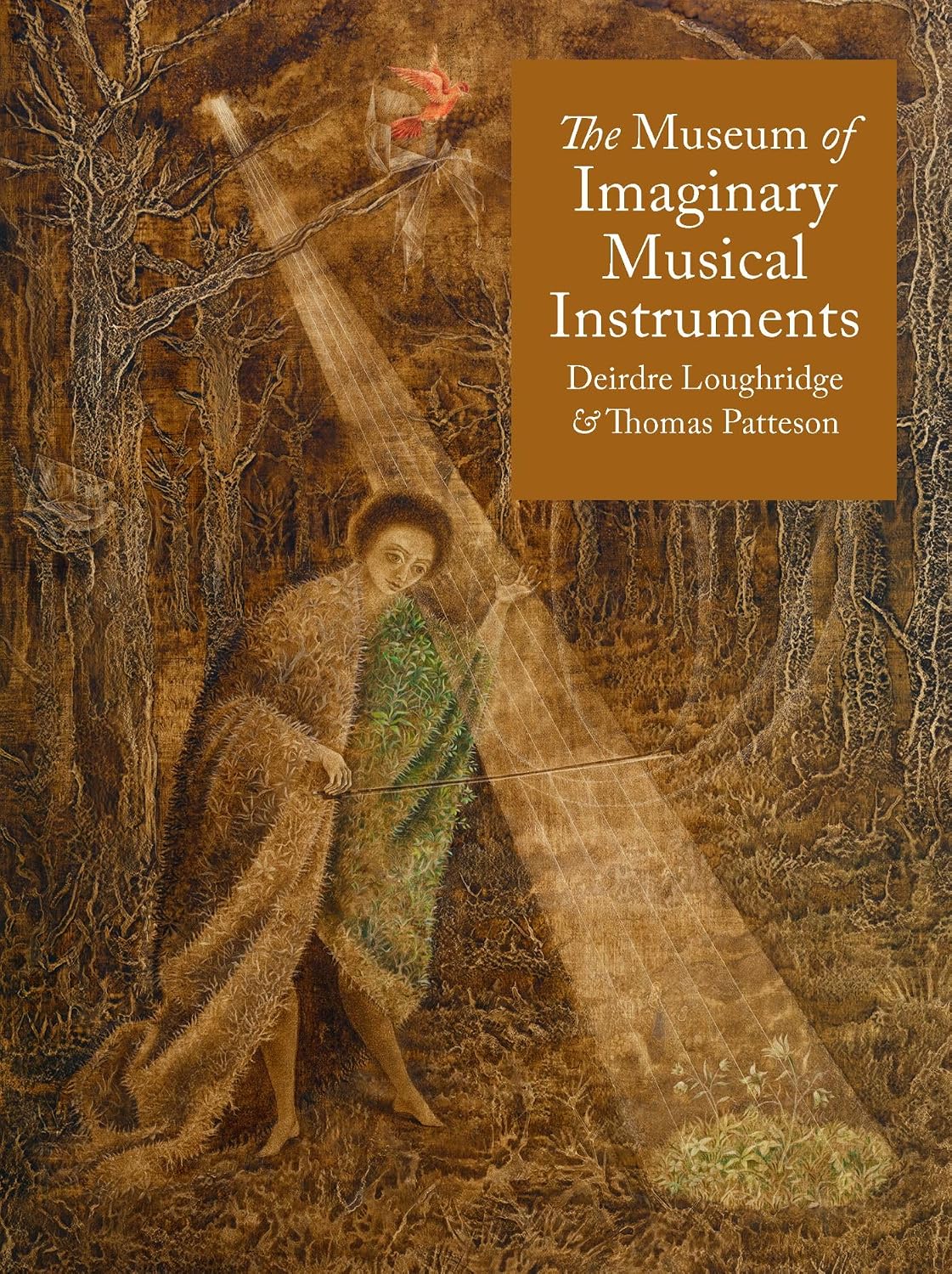 The Museum of Imaginary Musical Instruments baixar o livro de graça