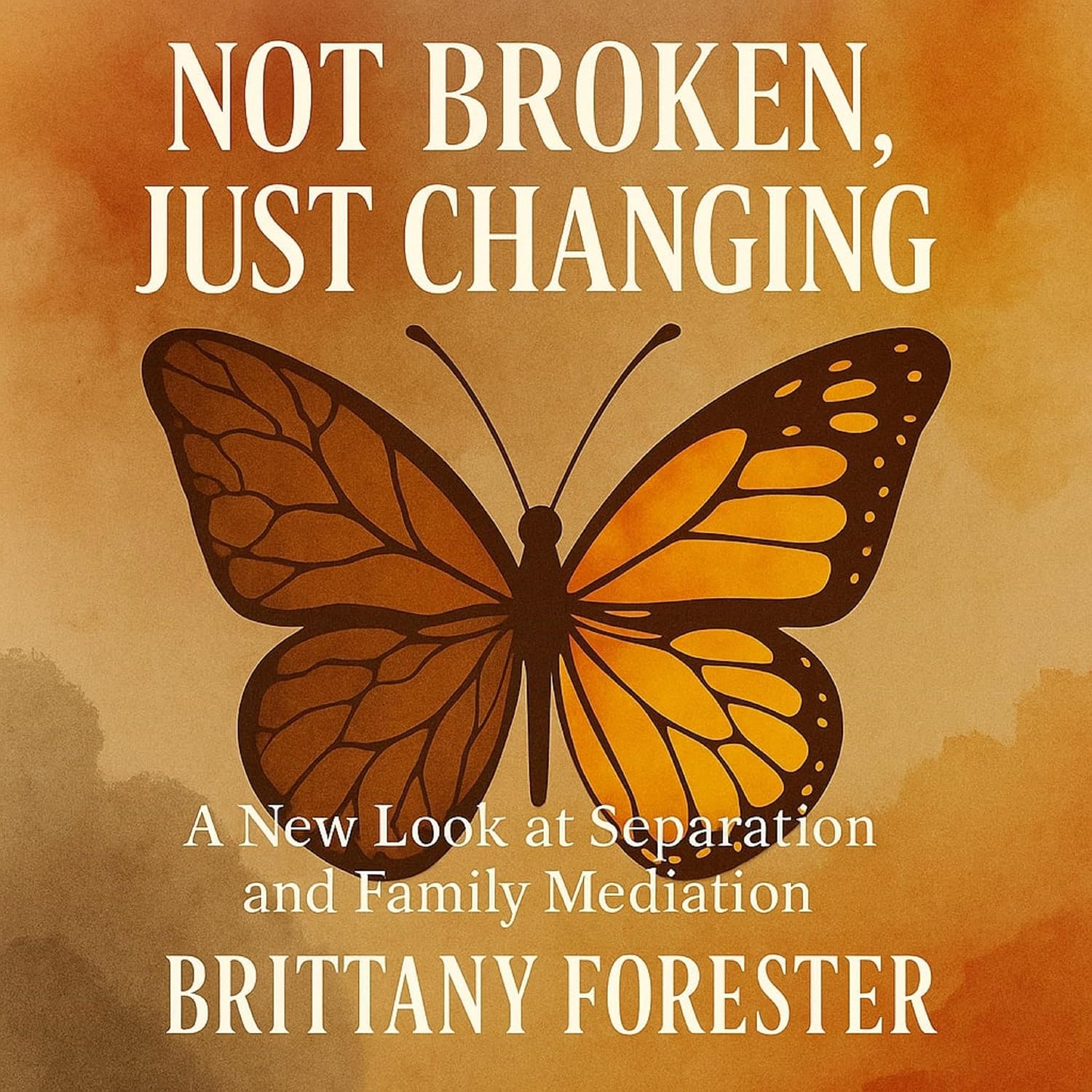 capítulo por capítulo baixar Not Broken, Just Changing: A New Look at Separation and Family Mediation