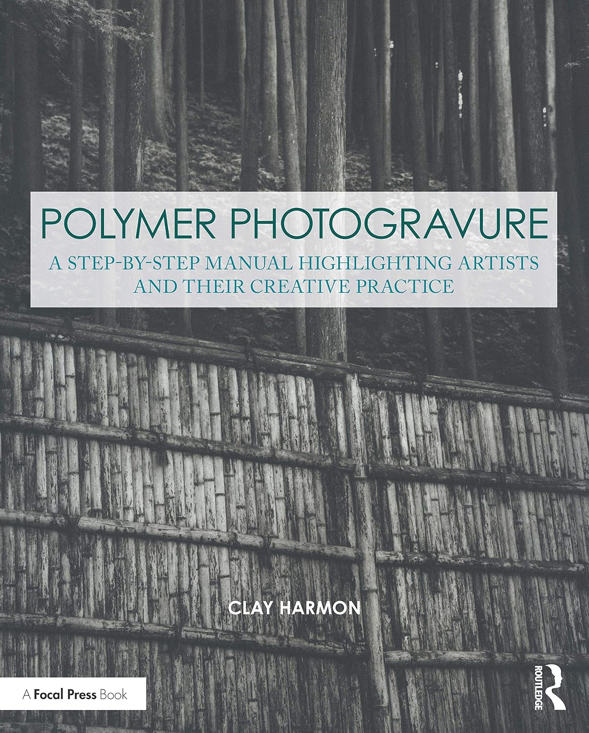 ler totalmente Polymer Photogravure: A Step-by-Step Manual, Highlighting Artists and Their Creative Practice (Contemporary Practices in Alternative Process Photography) (English Edition)