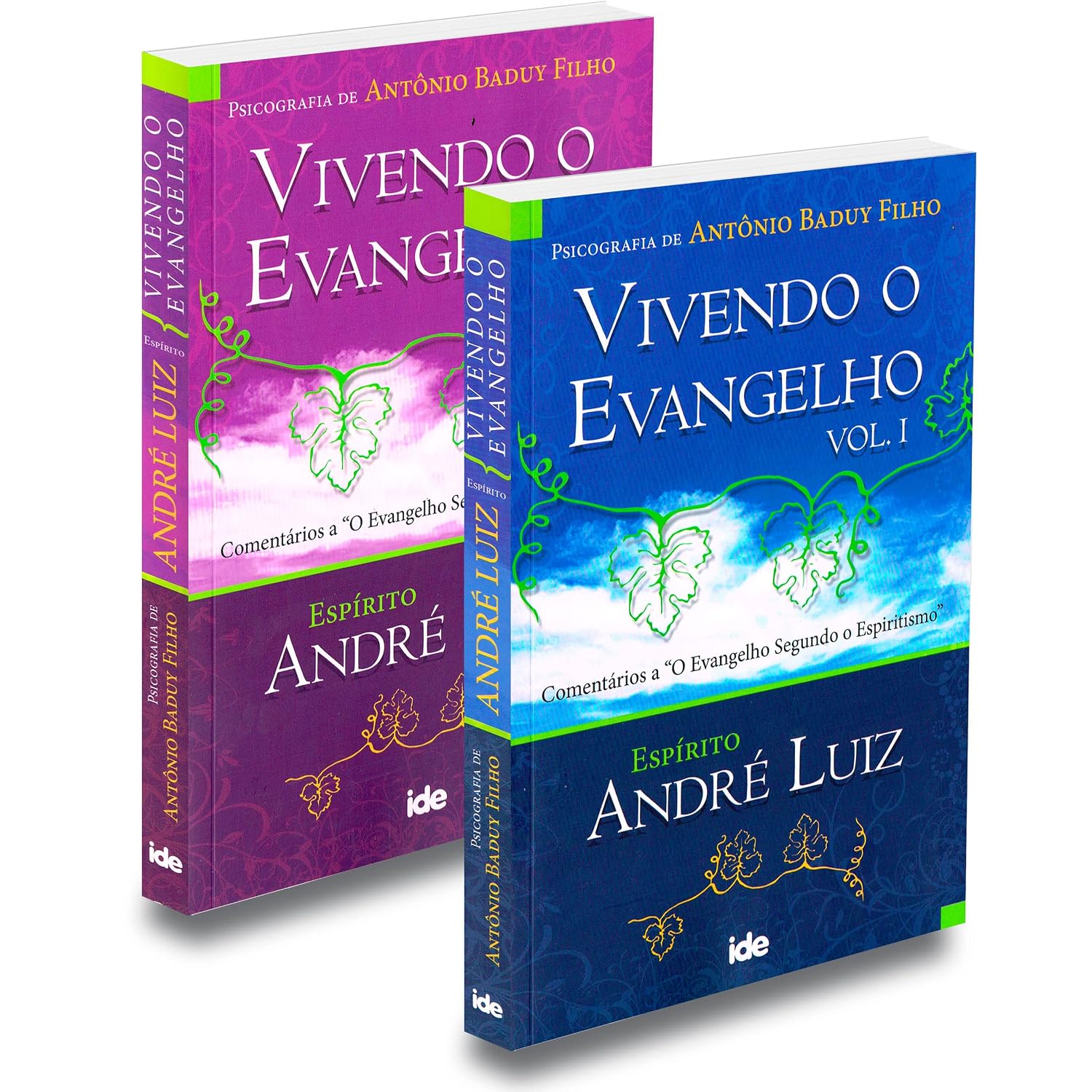 Kit Vivendo o Evangelho - Volumes 1 e 2 baixar o livro de graça