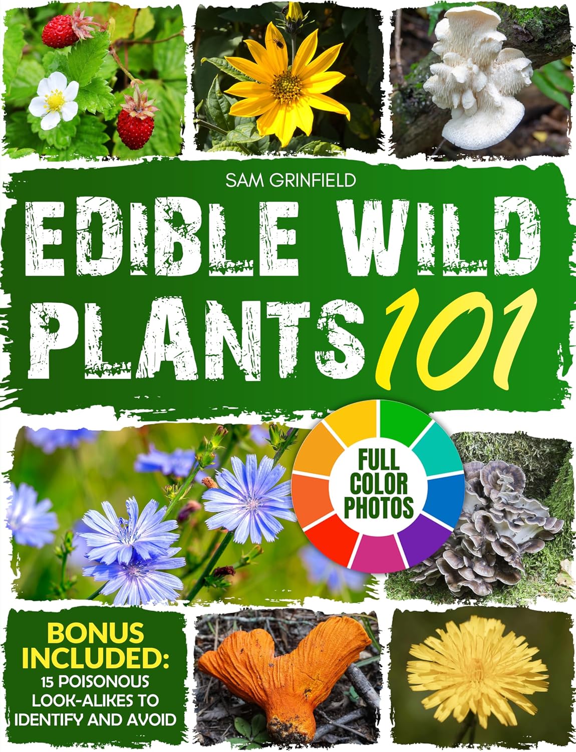 Edible Wild Plants 101: A North American Guide to Easily Identify the Safest Wild Food among Leaves, Flowers, Roots, Berries, and Mushrooms, with Detailed... Includes Delicious Recipes (English Edition) baixar livro de graça