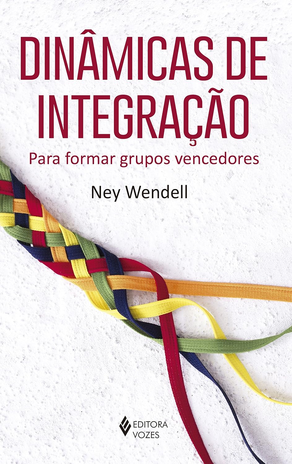 Dinâmicas de integração: Para formar grupos vencedores baixar livro de graça