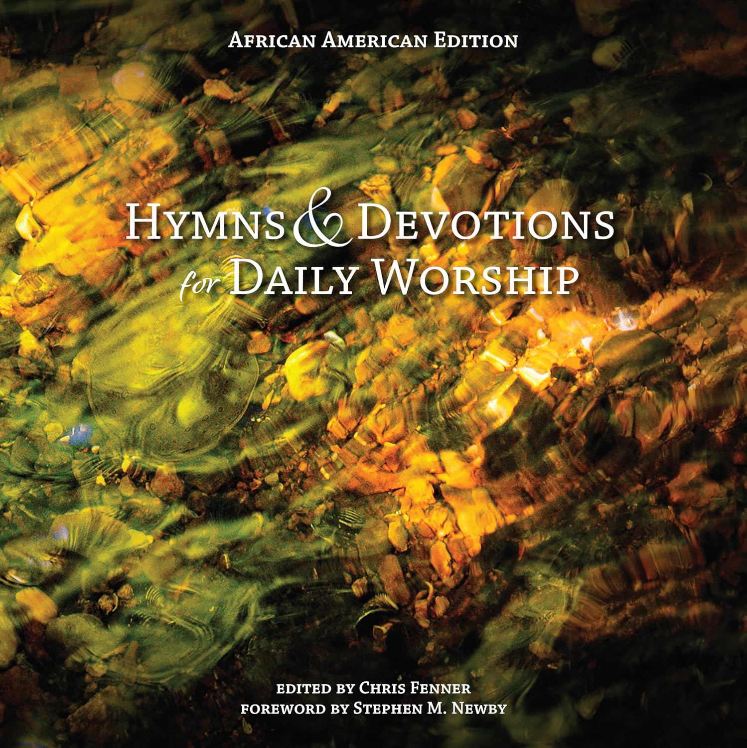 Hymns & Devotions for Daily Worship: African American Edition (English Edition) baixar o livro de graça