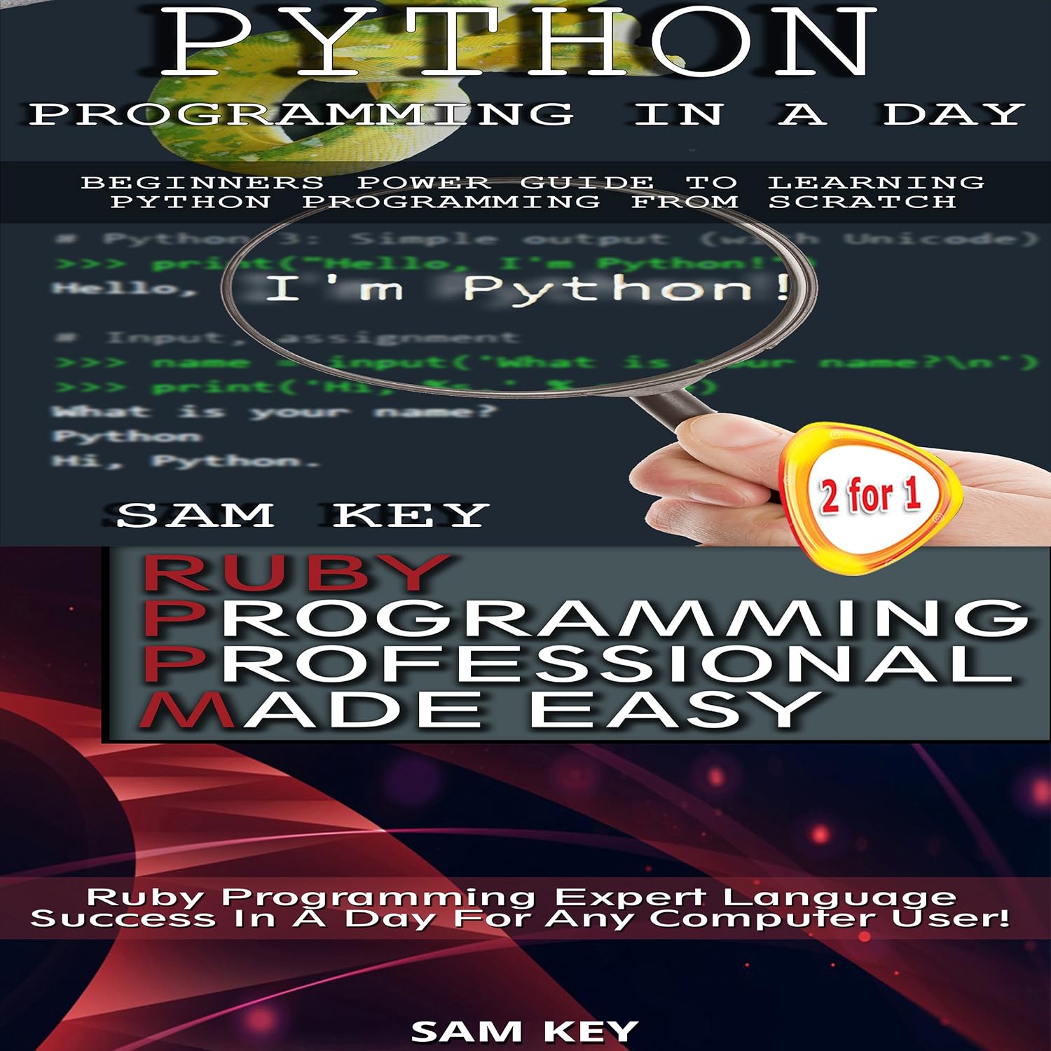 Python Programming in a Day & Ruby Programming Professional Made Easy