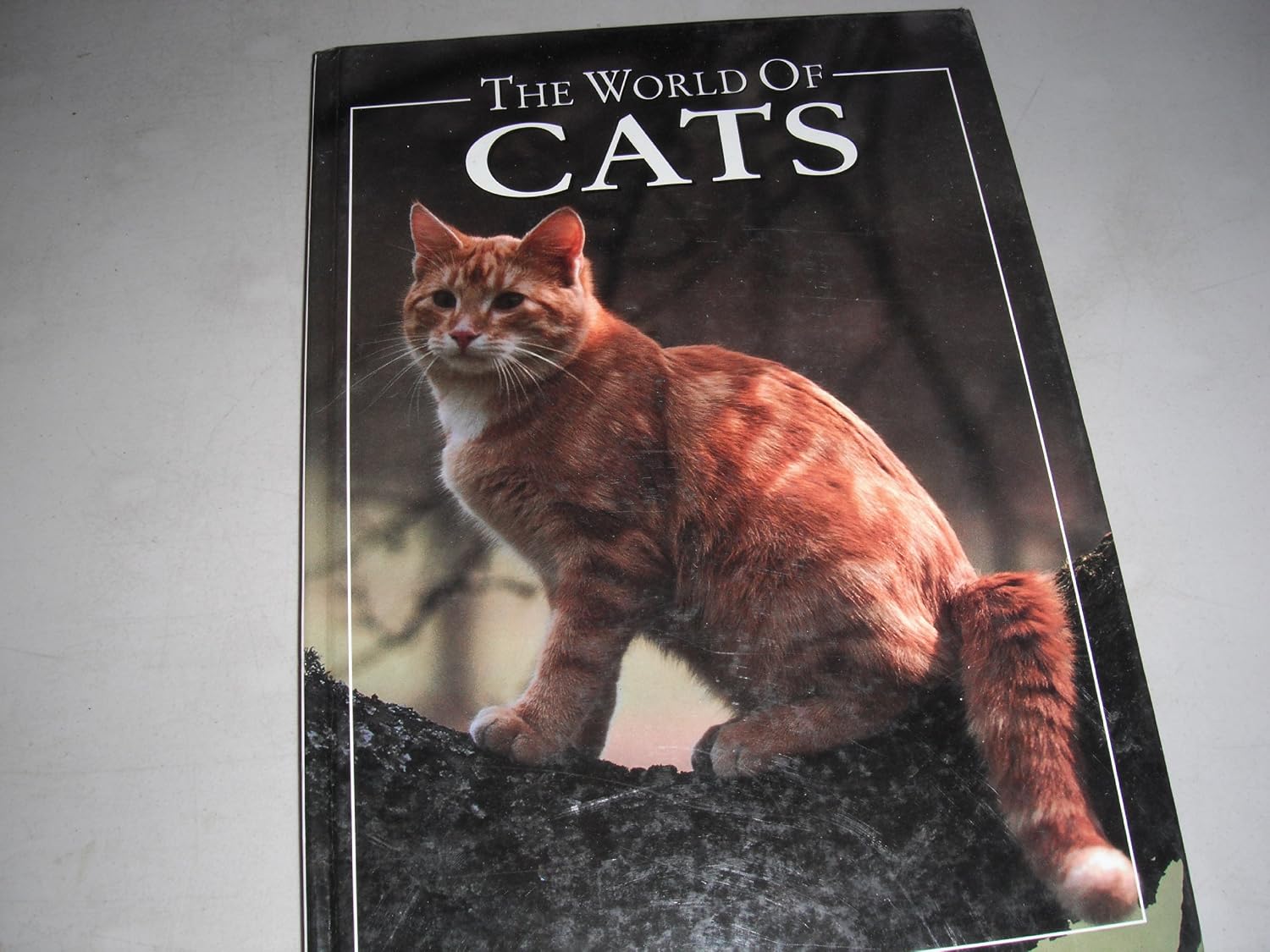 ler totalmente The World of Cats