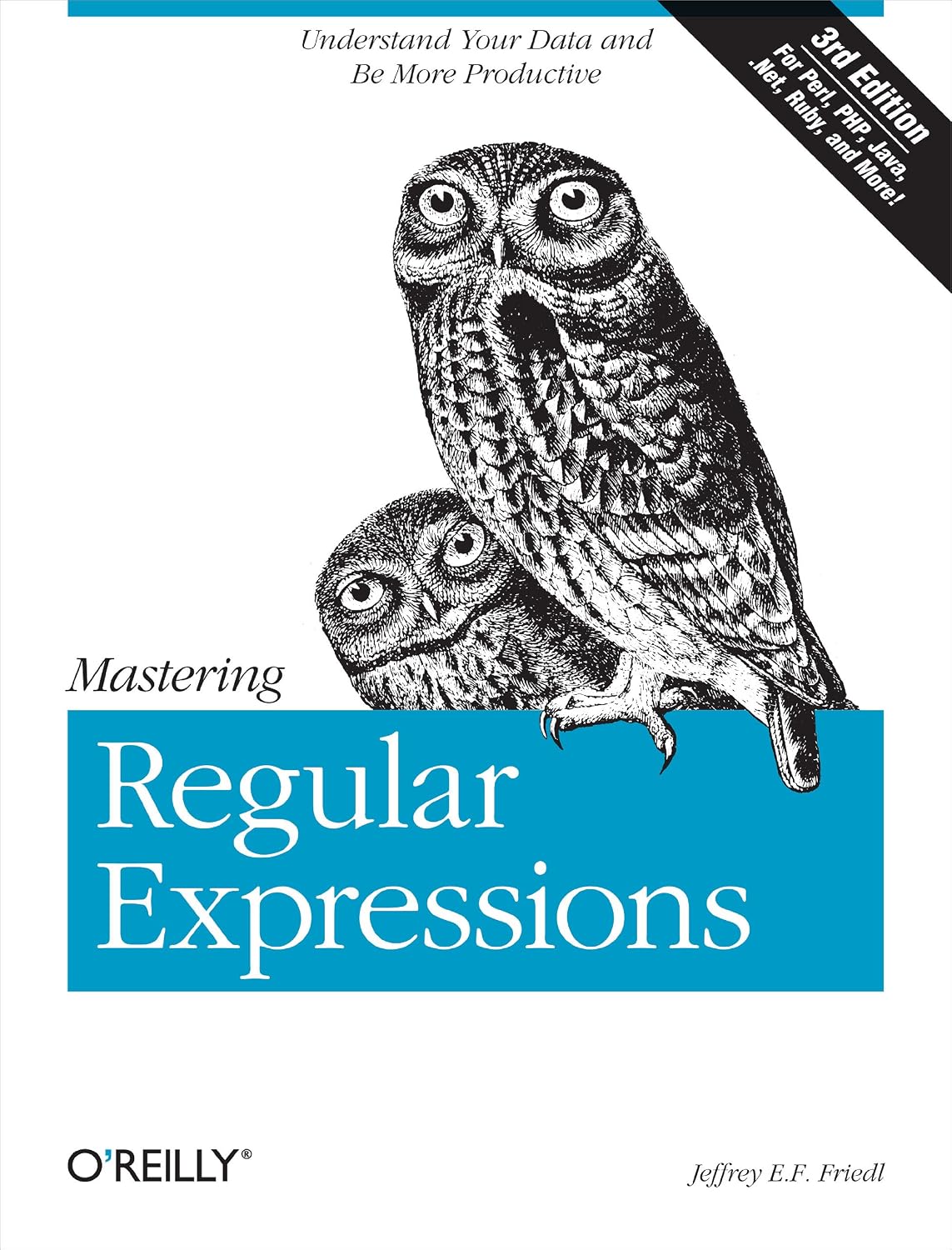 Mastering Regular Expressions: Understand Your Data and Be More Productive baixar o livro de graça