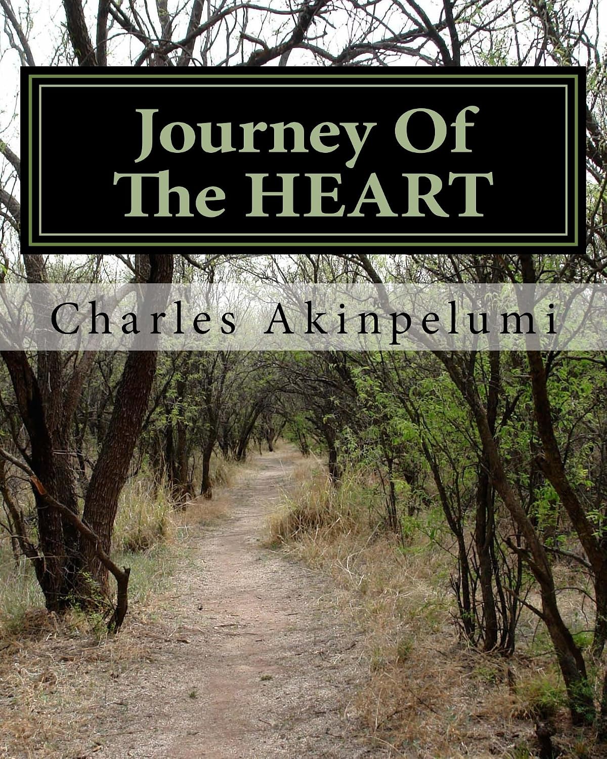 ler totalmente Journey Of The Heart (English Edition)
