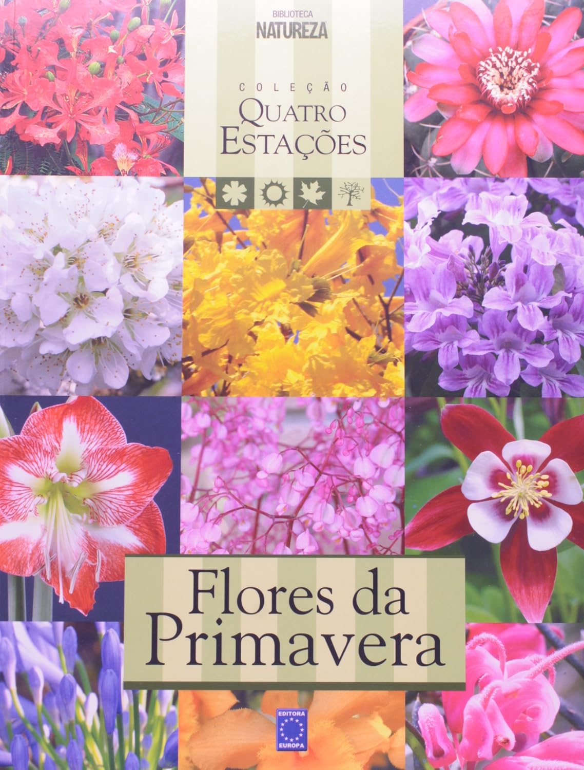 Flores da Primavera