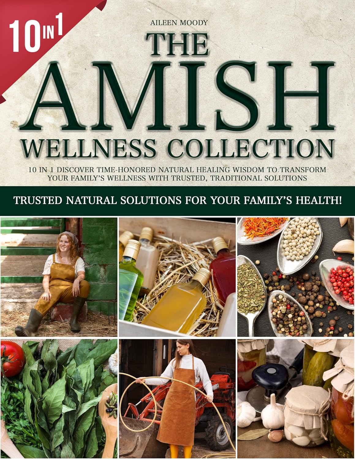 The Amish Wisdom Wellness Collection: 10 in 1 Discover Time-Honored Natural Healing Wisdom to Transform Your Family’s Wellness with Trusted, Traditional Solutions (English Edition) baixar livro de graça