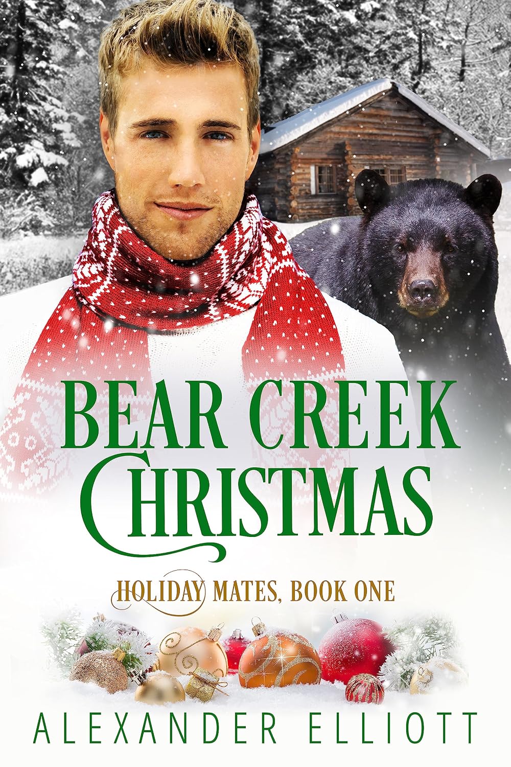 Bear Creek Christmas (Holiday Mates Book 1) (English Edition) baixar livro de graça