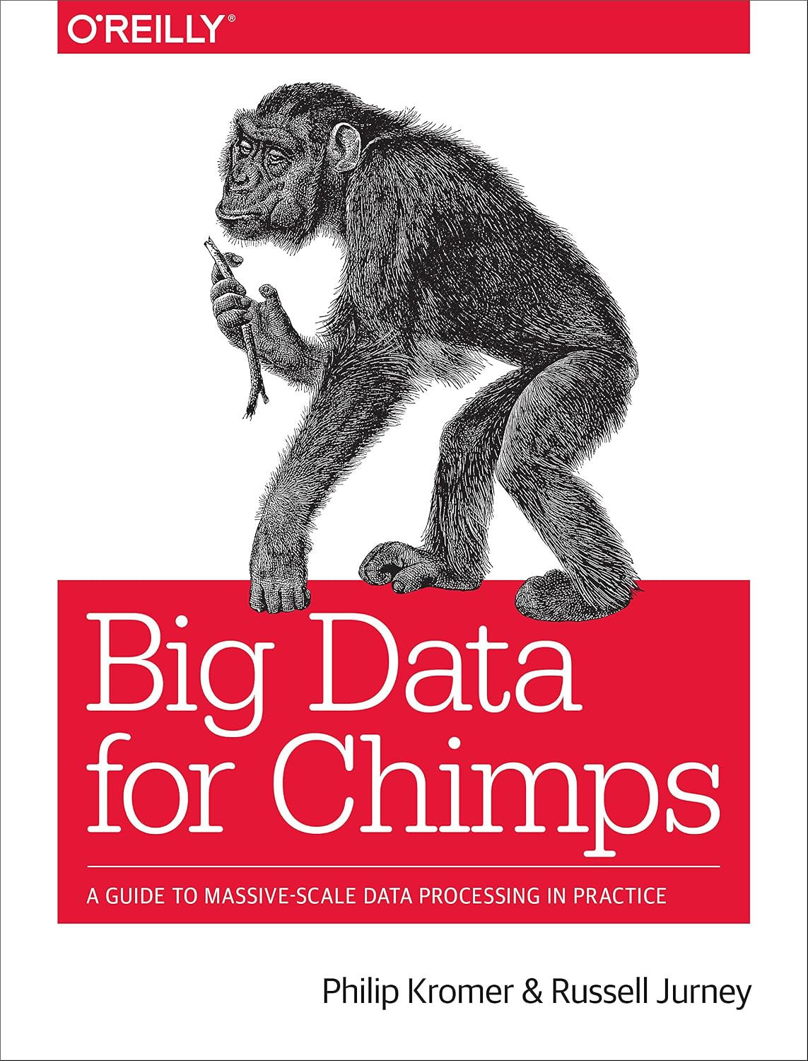 ler totalmente Big Data for Chimps: A Guide to Massive-Scale Data Processing in Practice (English Edition)