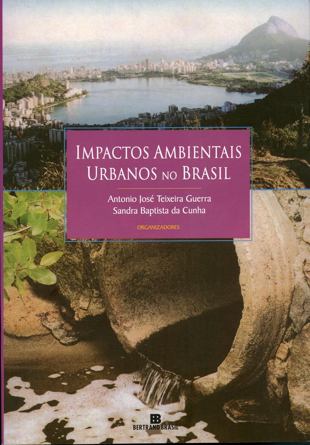 Impactos ambientais urbanos baixar o livro de graça